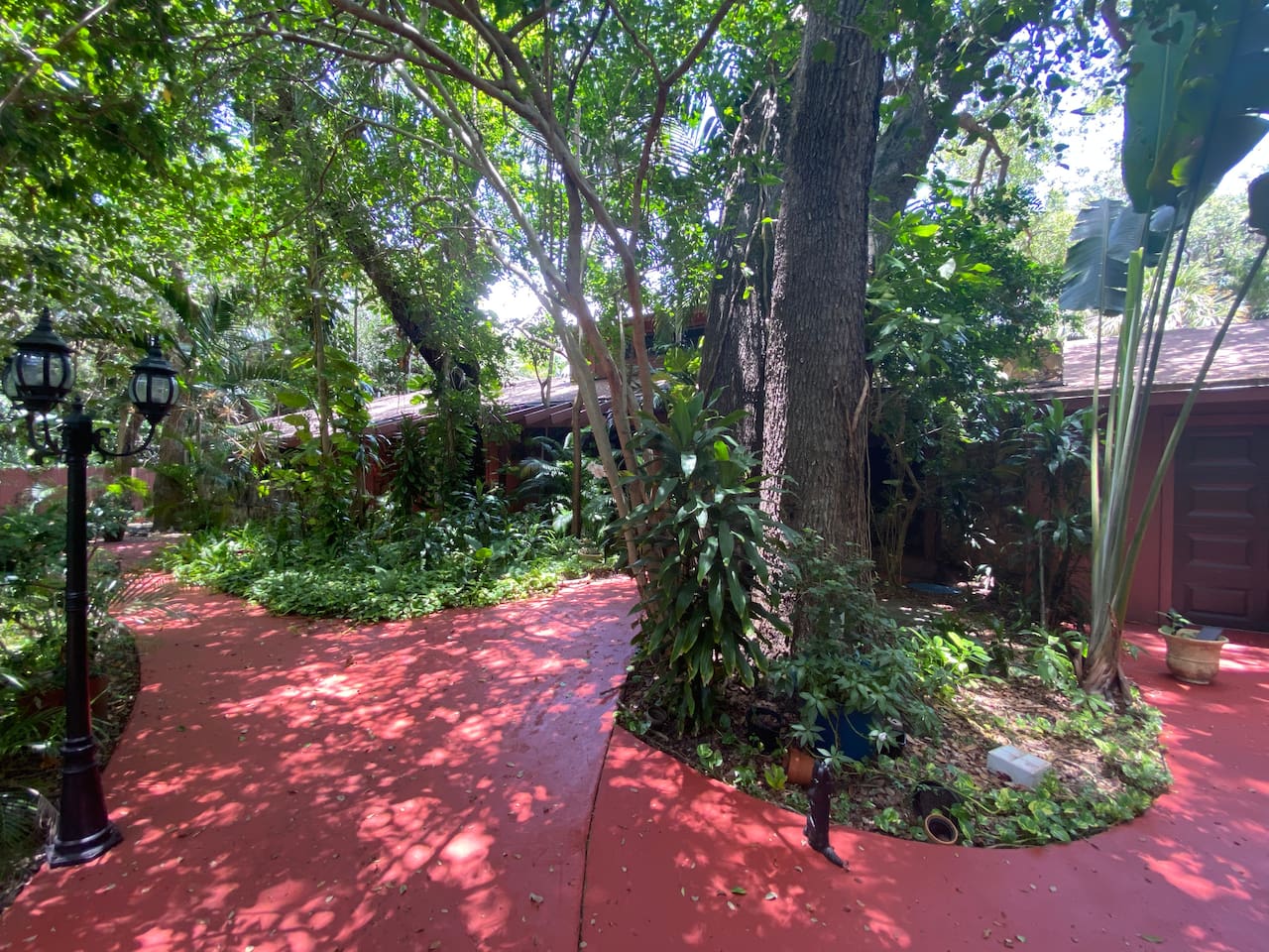 Front Garden with Mature Vegetation