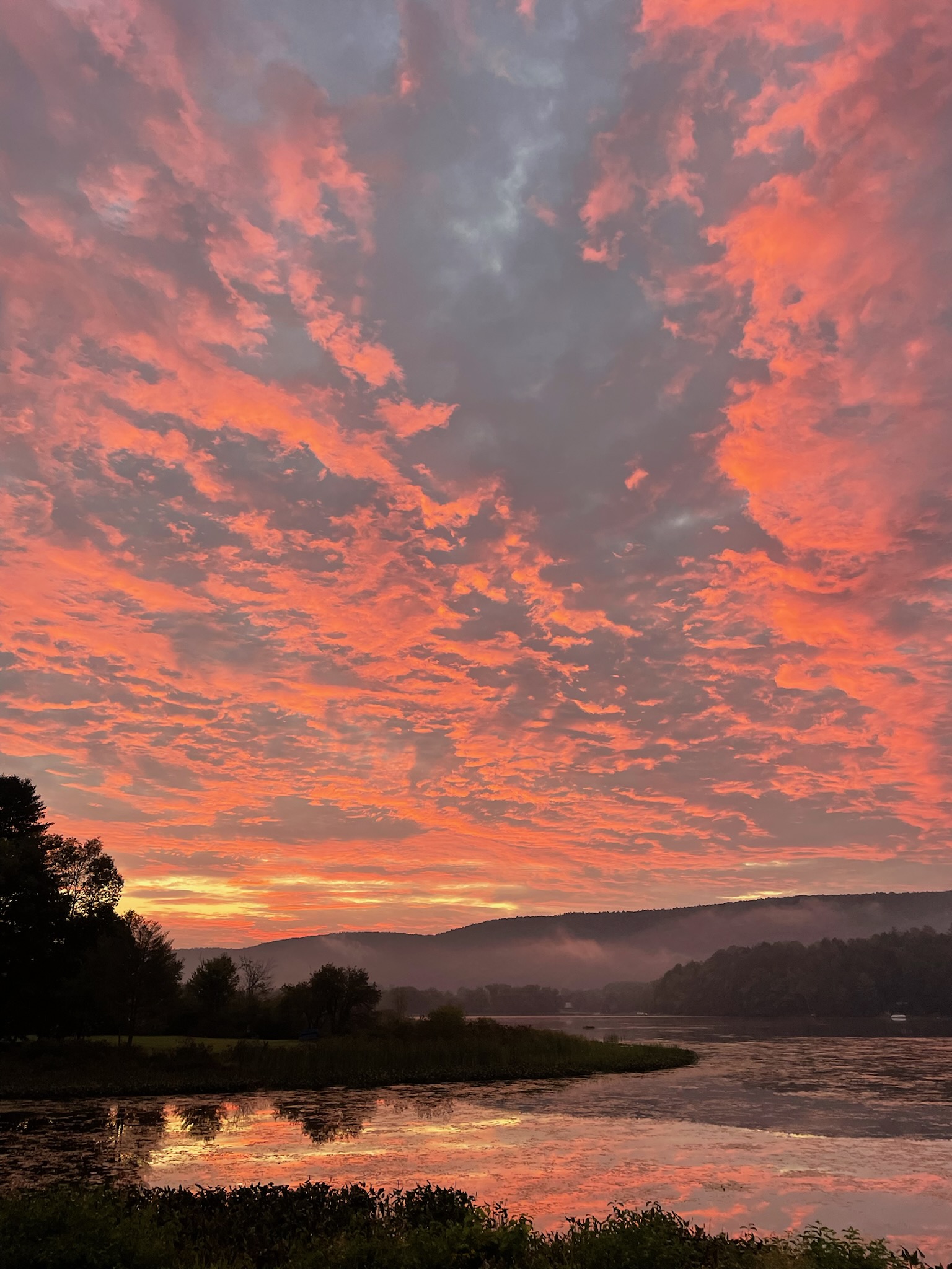 Nature's Hidden Treasure Painted sky in the evenings.