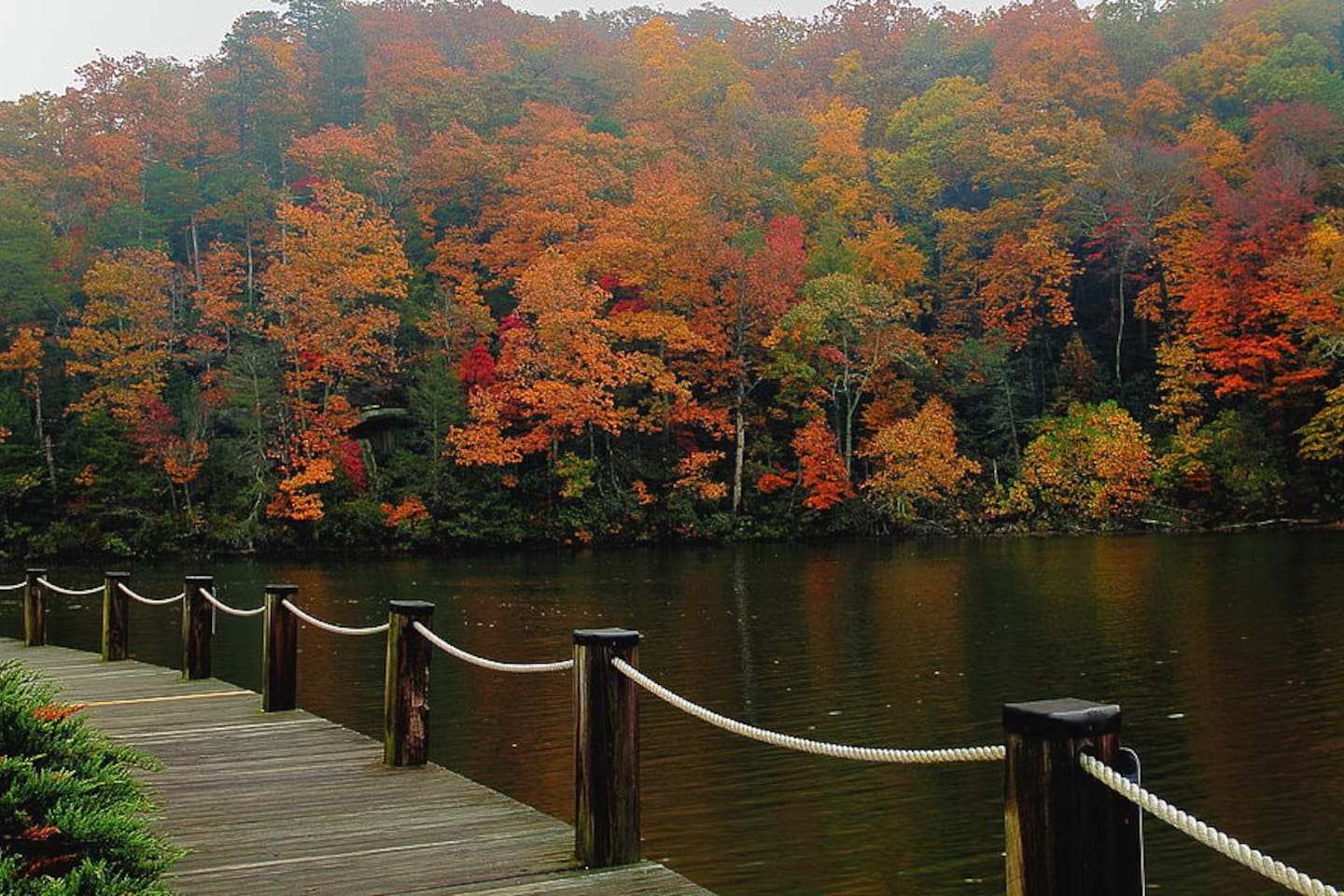Walk around Lake Lure!