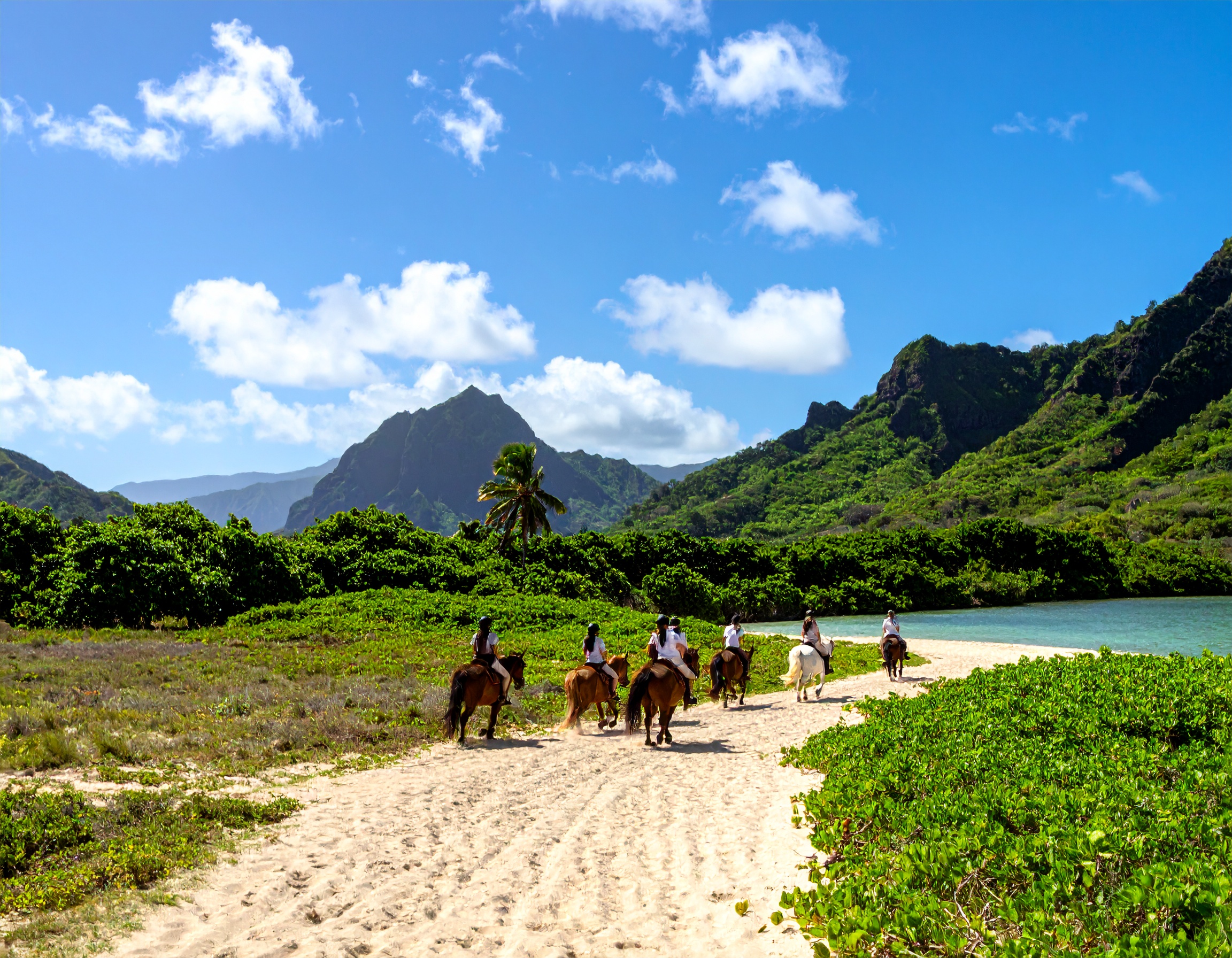 horseback riding at tours at Turtle Bay Resort, Gunstock Ranch and Kualoa Ranch