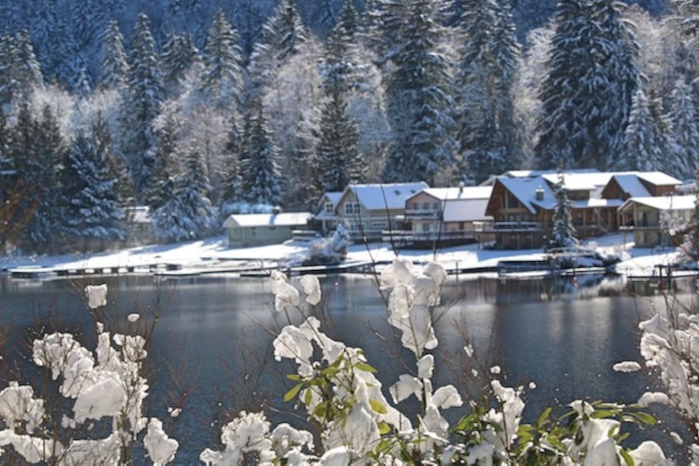 Frost-covered plants overlooking a snowy lakeside scene.
