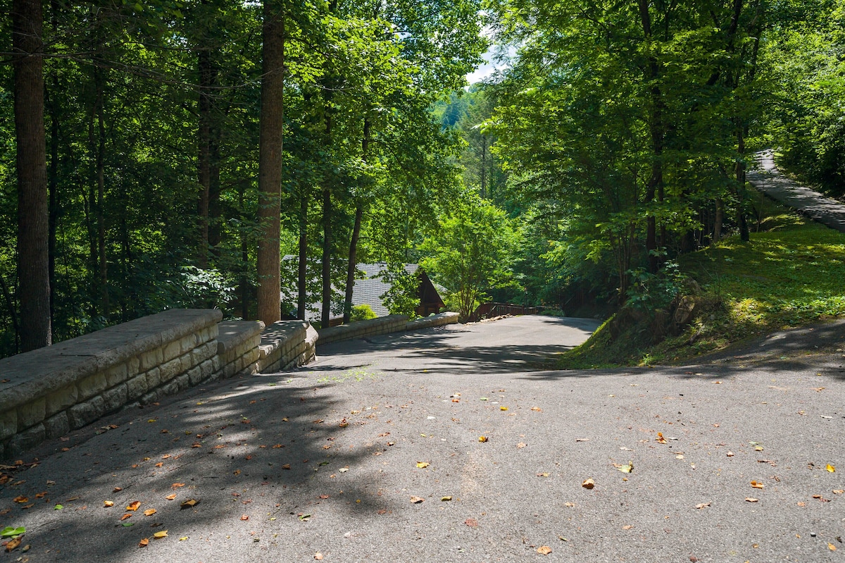 Once you give this driveway a go, you'll be a pro! The driveway is intimidating at first, but after that first go, you'll be a champ!  Long driveway provides plenty of parking, too.