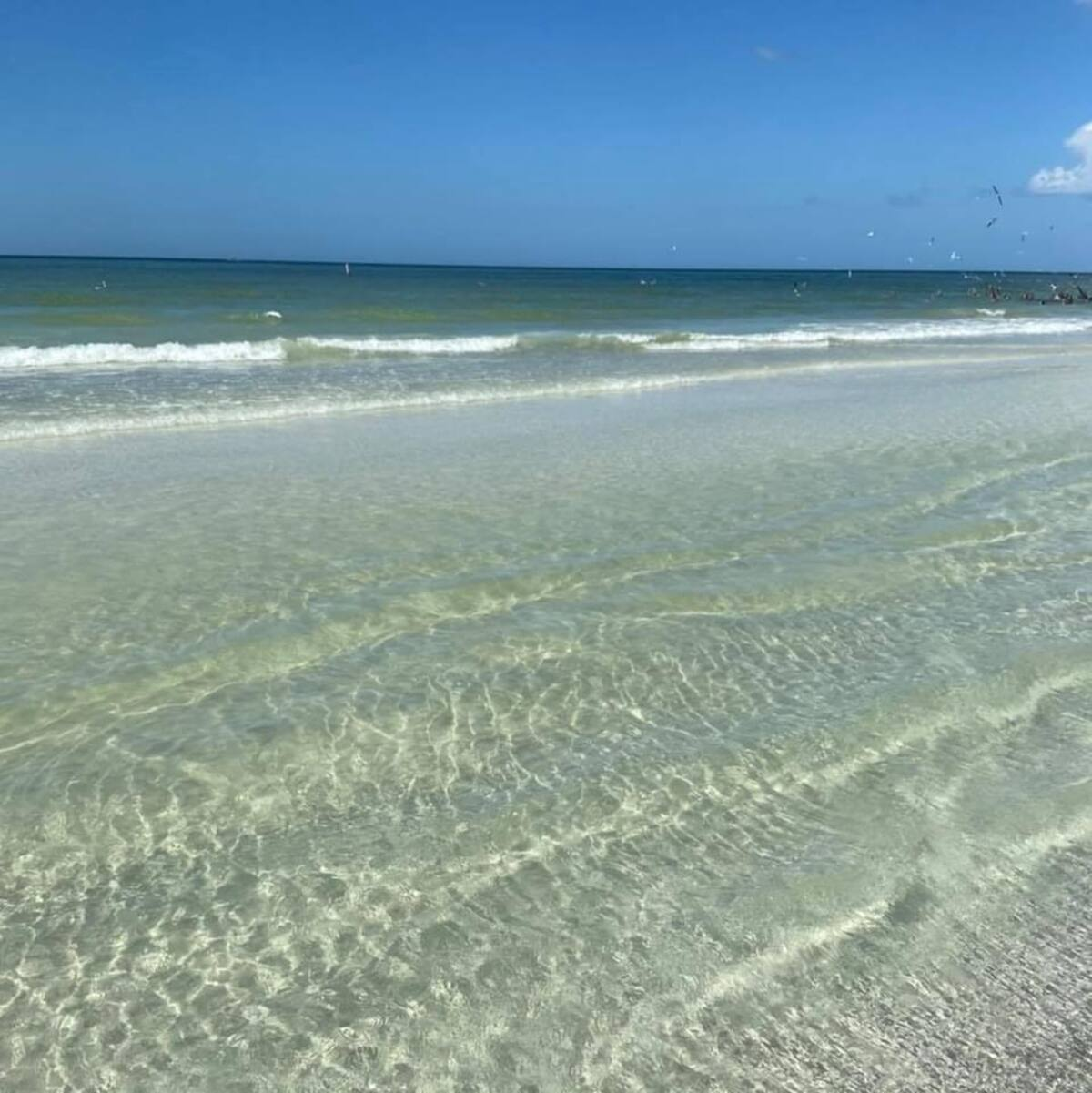 Discover the unspoiled beauty of the North Cape San Blas beaches, where soft white sand, gentle Gulf waves, and breathtaking sunsets create the ultimate coastal escape.