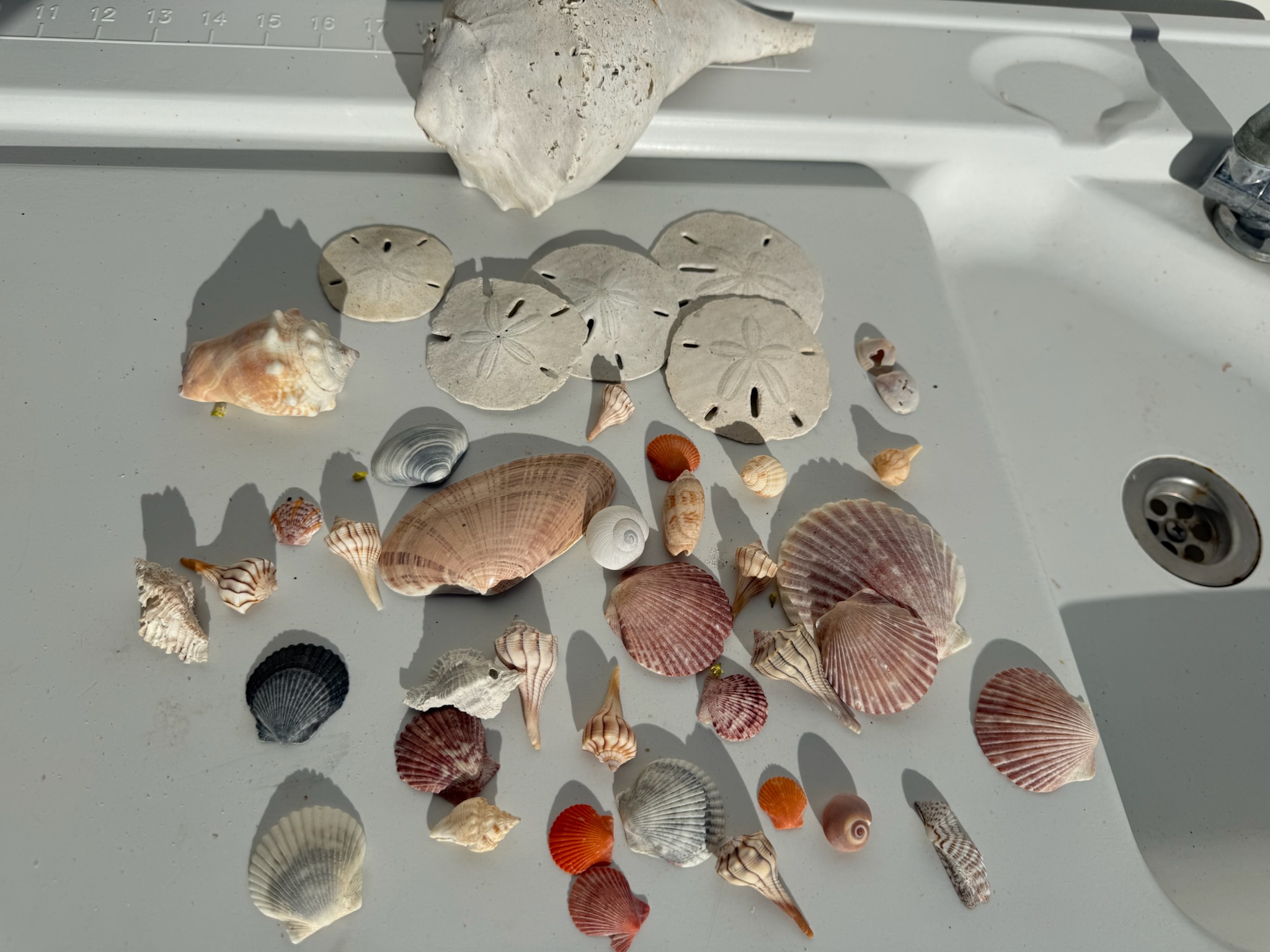 Use the outdoor shell wash station and let 'em dry in the sun before packing them up 