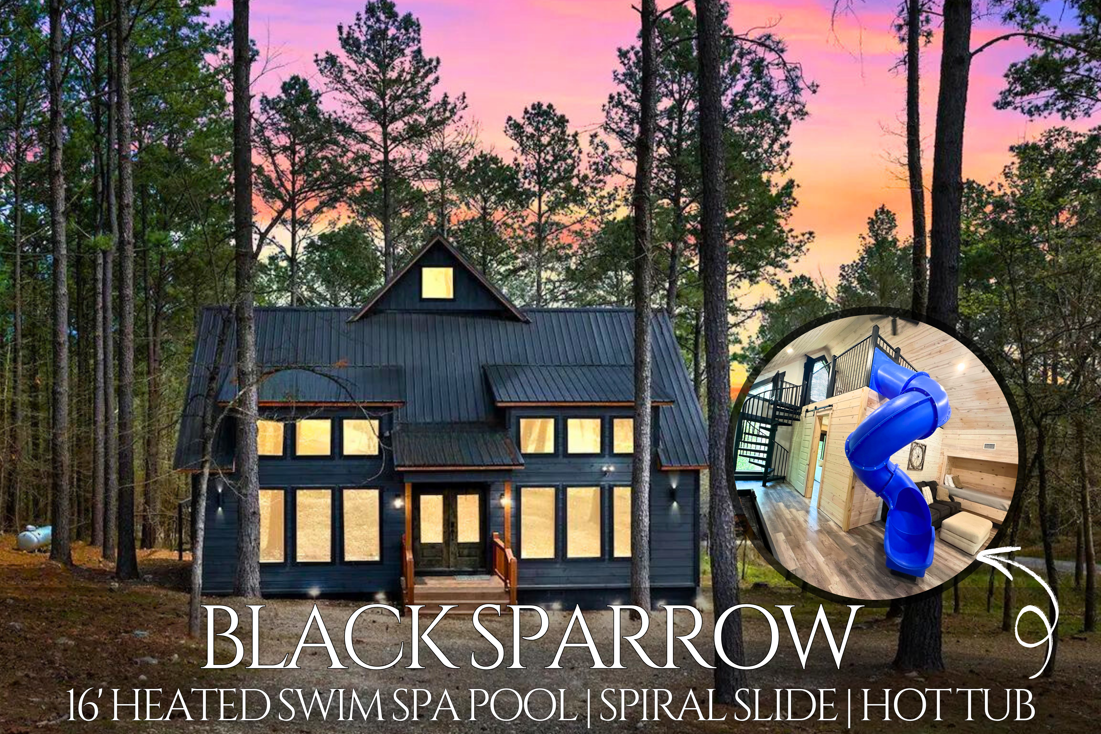 Black Sparrow