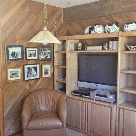 Entertainment area.