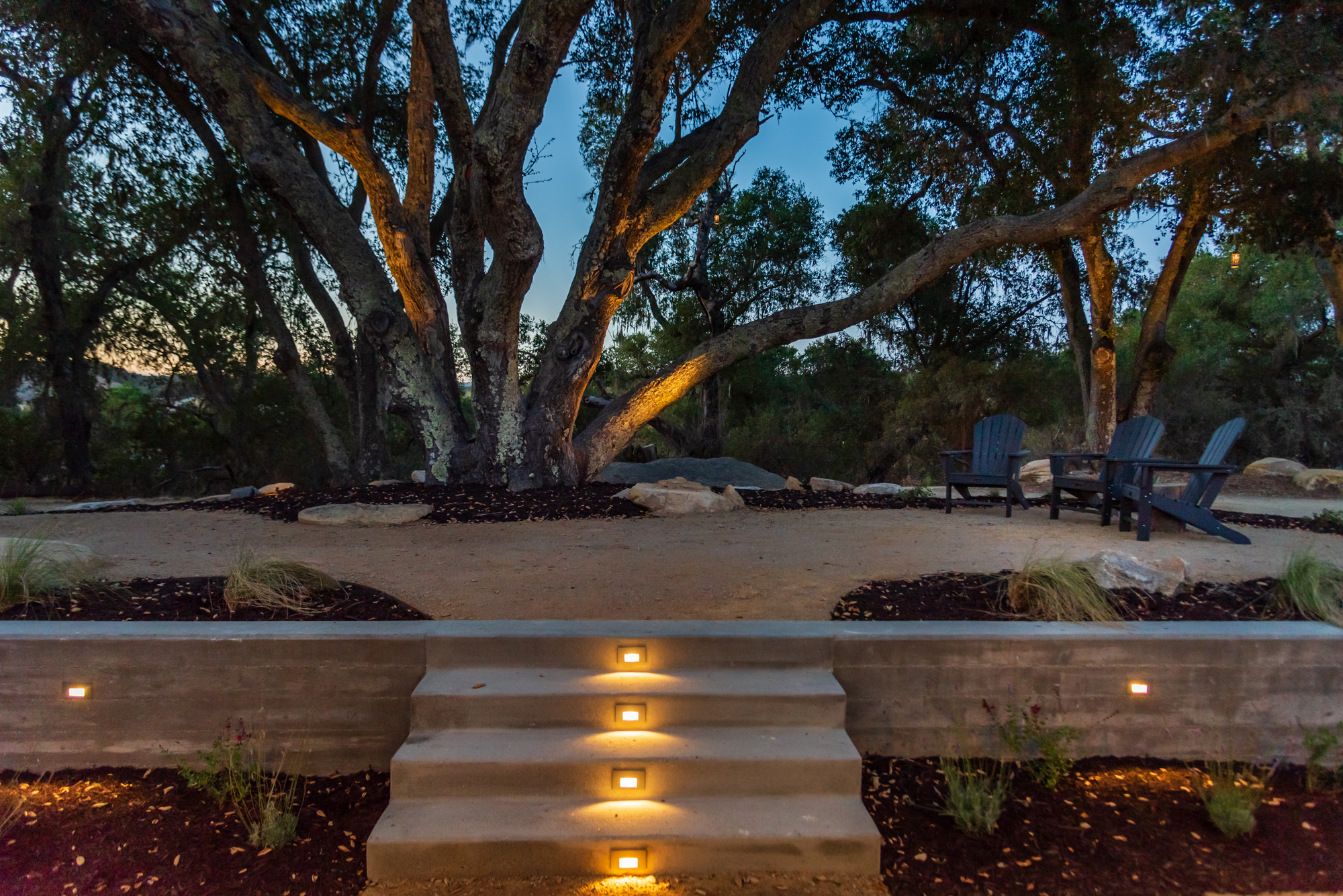 An illuminated stone path leading to a peaceful, oak-shaded seating area at dusk.