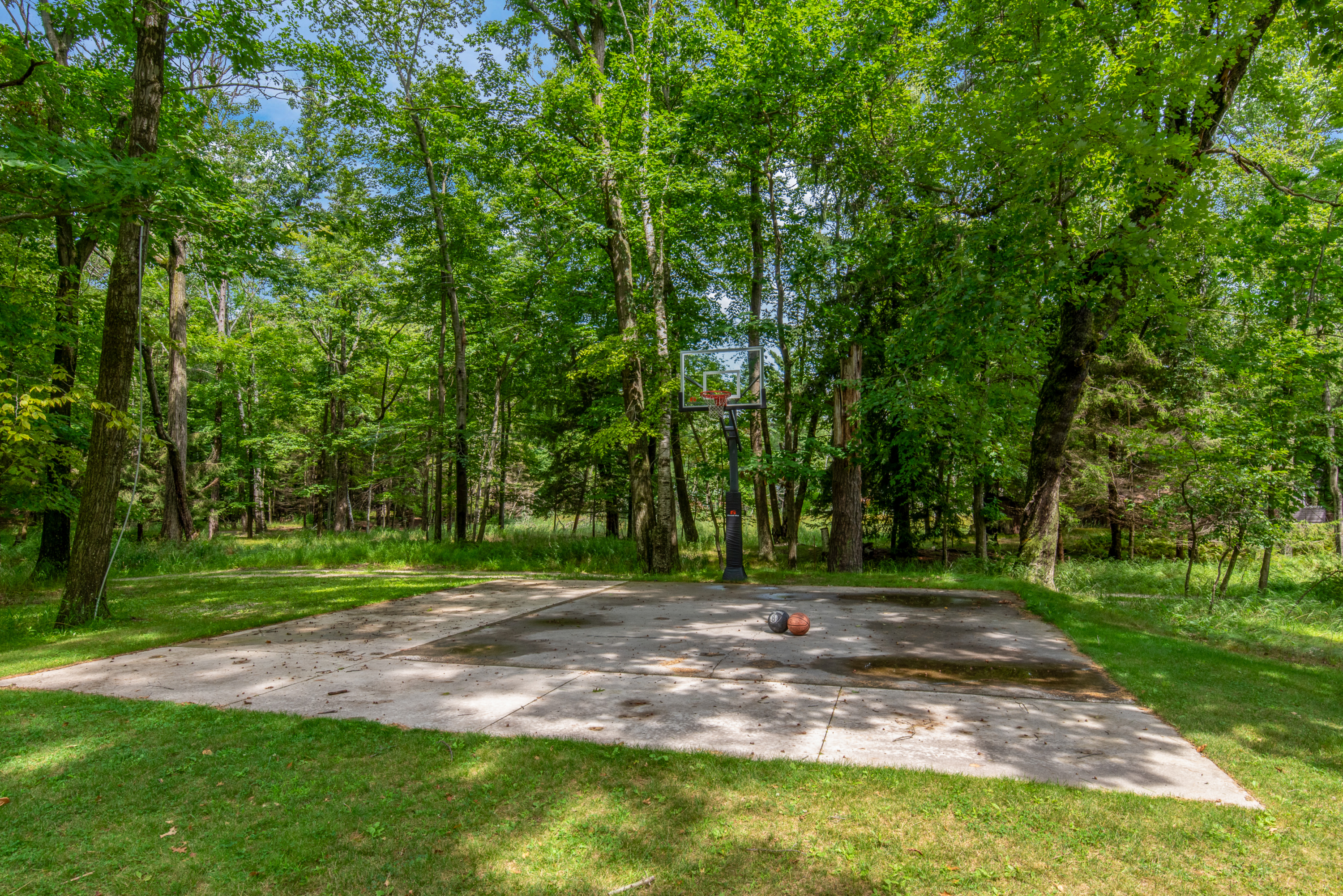 Basketball in the woods.