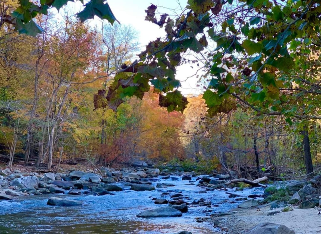 French Broad River - private access in Riverbend.