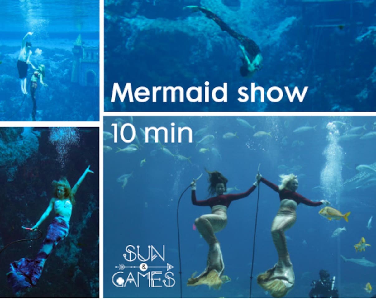 10 minute drive to watch the famous mermaid show at the Buccaneer bay in Weeki Wachee State Park