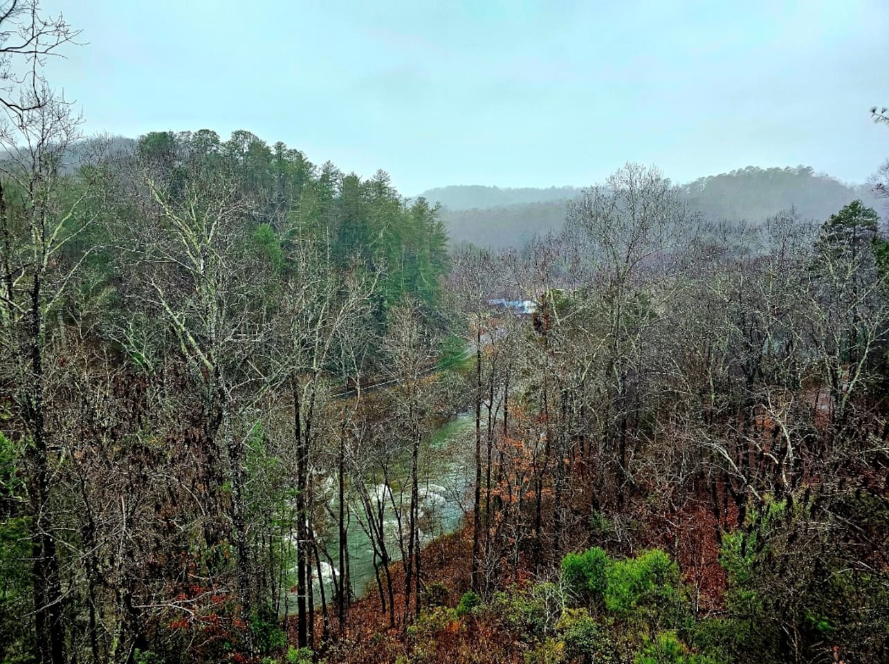 View from back deck and living room.