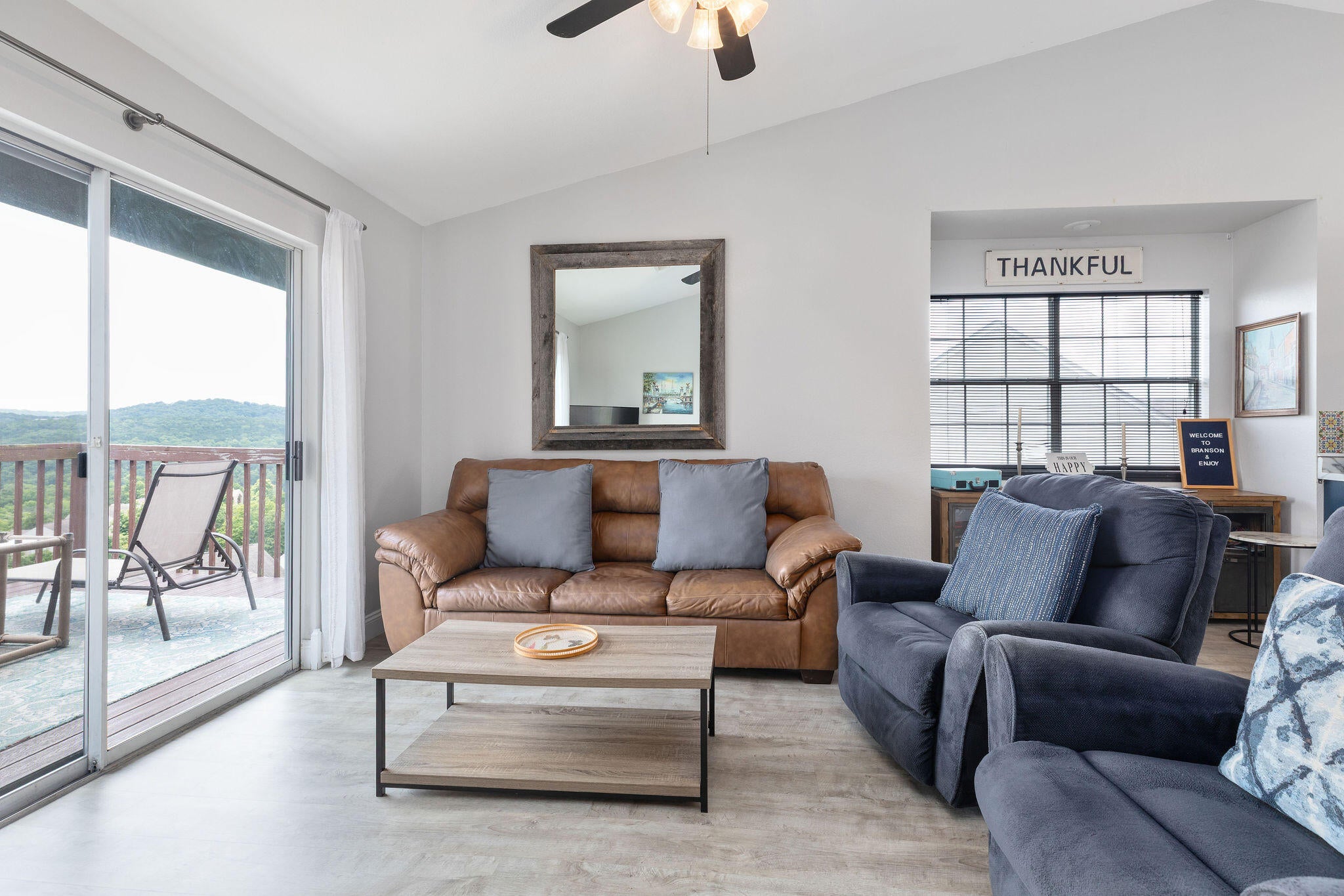 Comfortable Living room with Sofa Sleeper