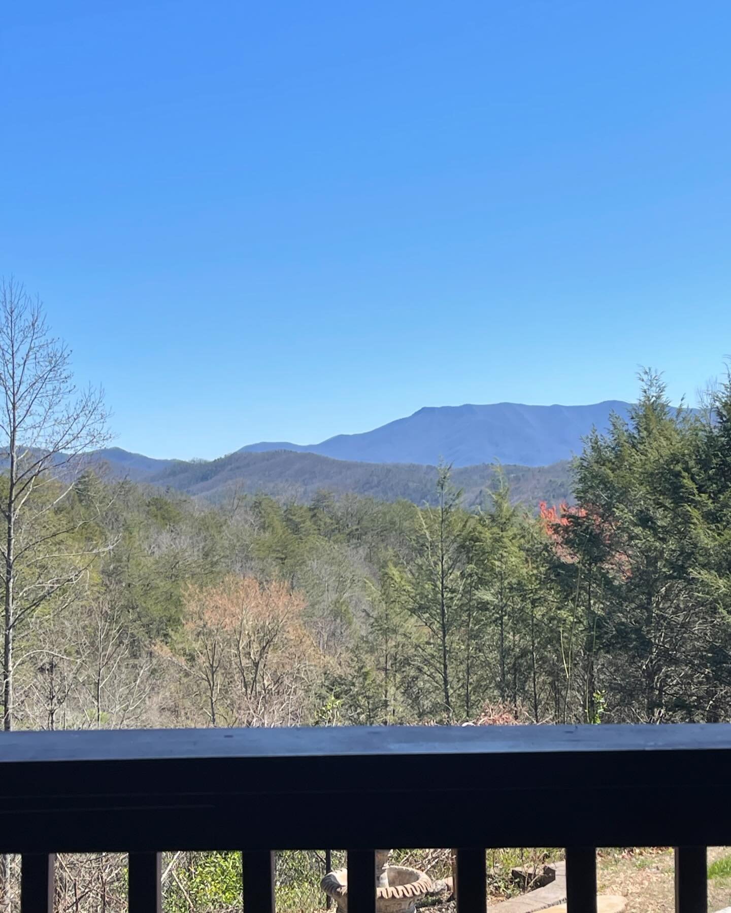 As spring emerges, the view just gets better!