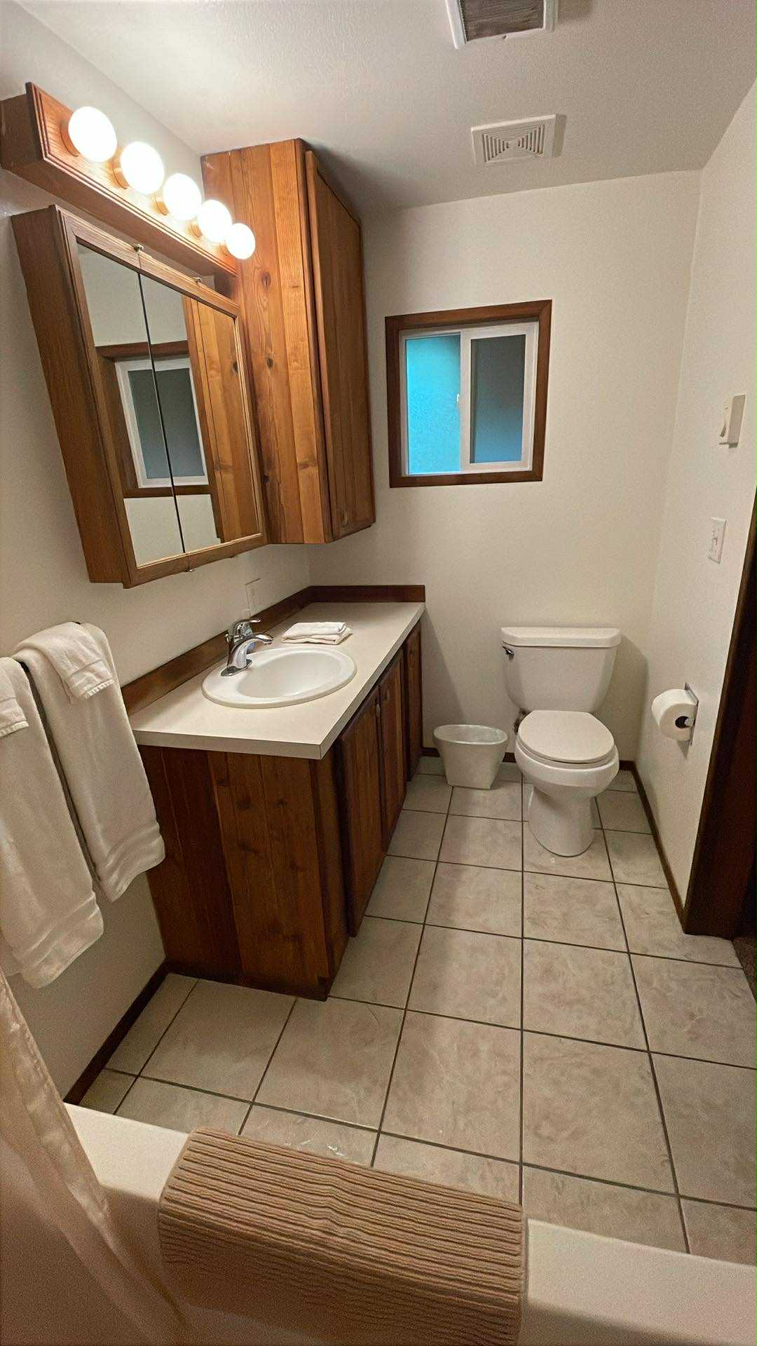 Rainier Cabin bathroom (pic 1 of 2)