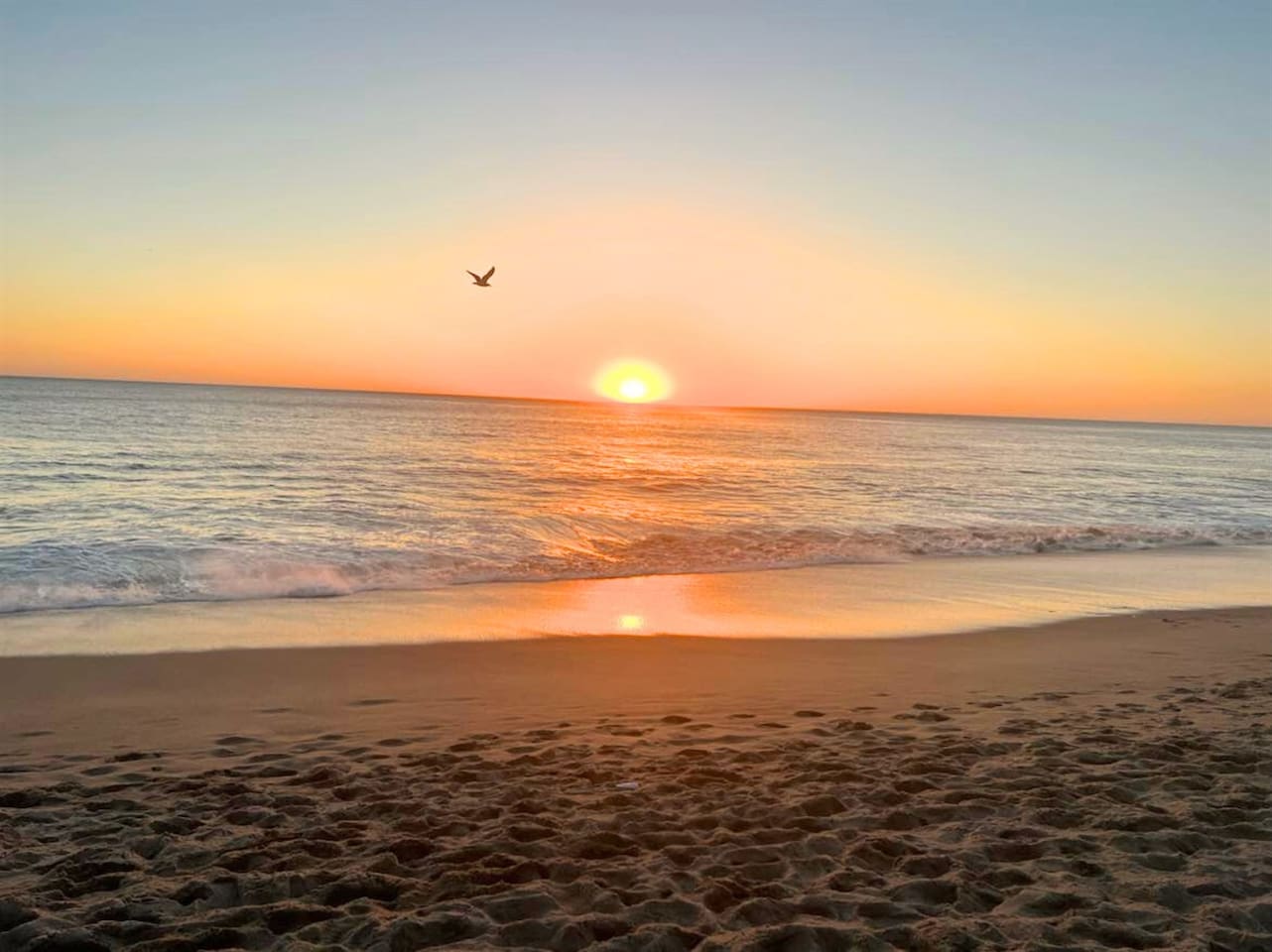 Beach Sunrise