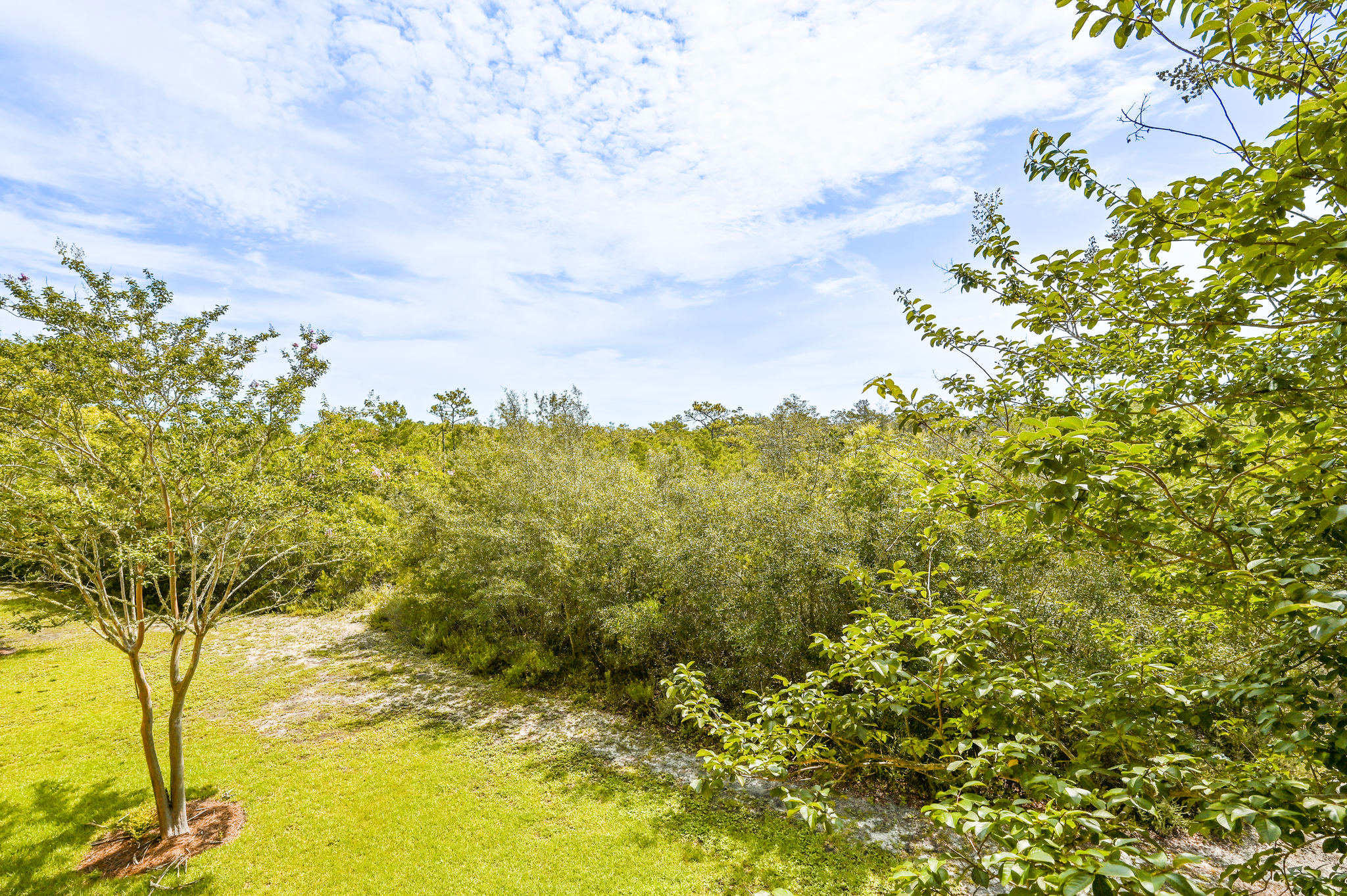 Green Space Behind Condo