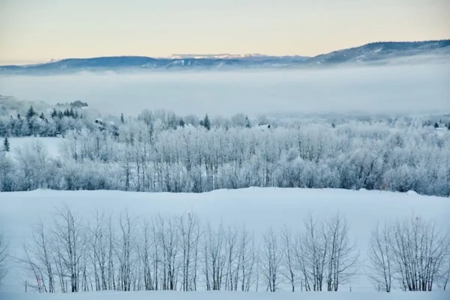 Winter Views from the Deck