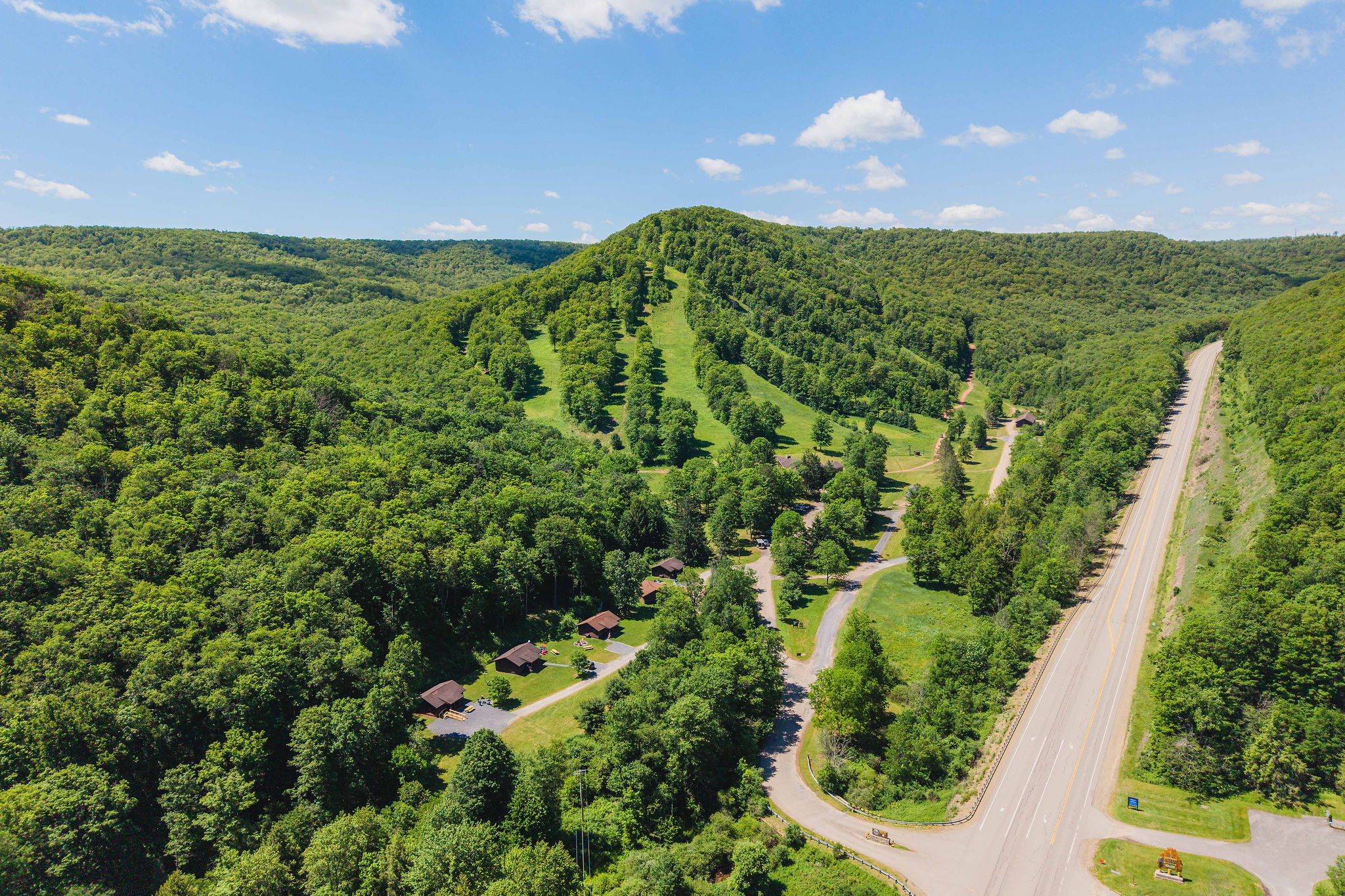 🌲 Endless trails and forest — the Susquehannock State Forest stretches in every direction.