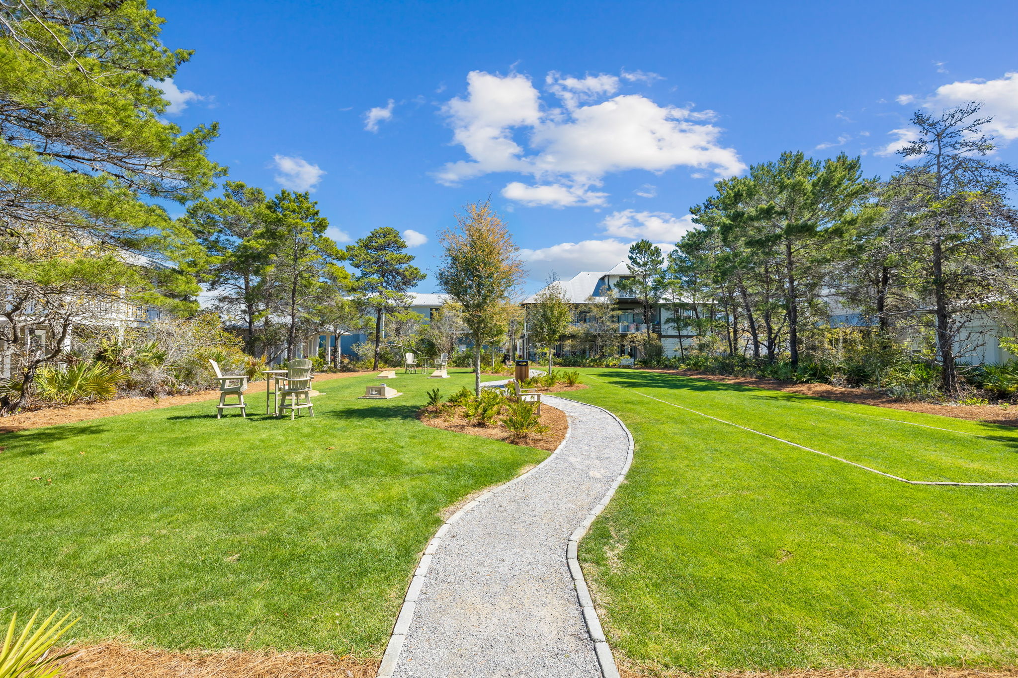 Backyard Green Space
