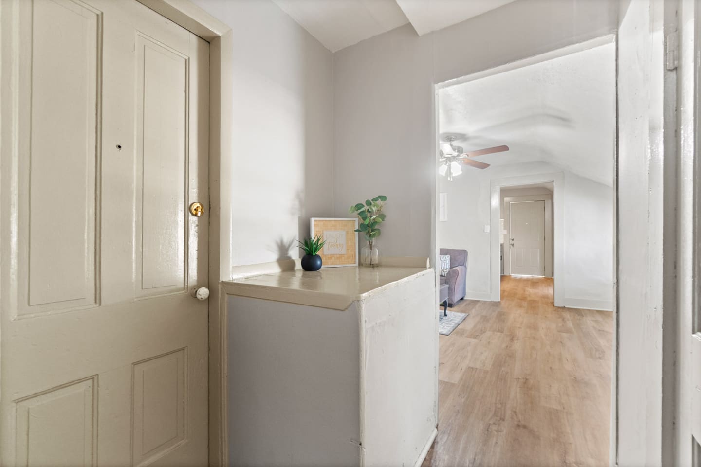 Entryway leading into the living room.