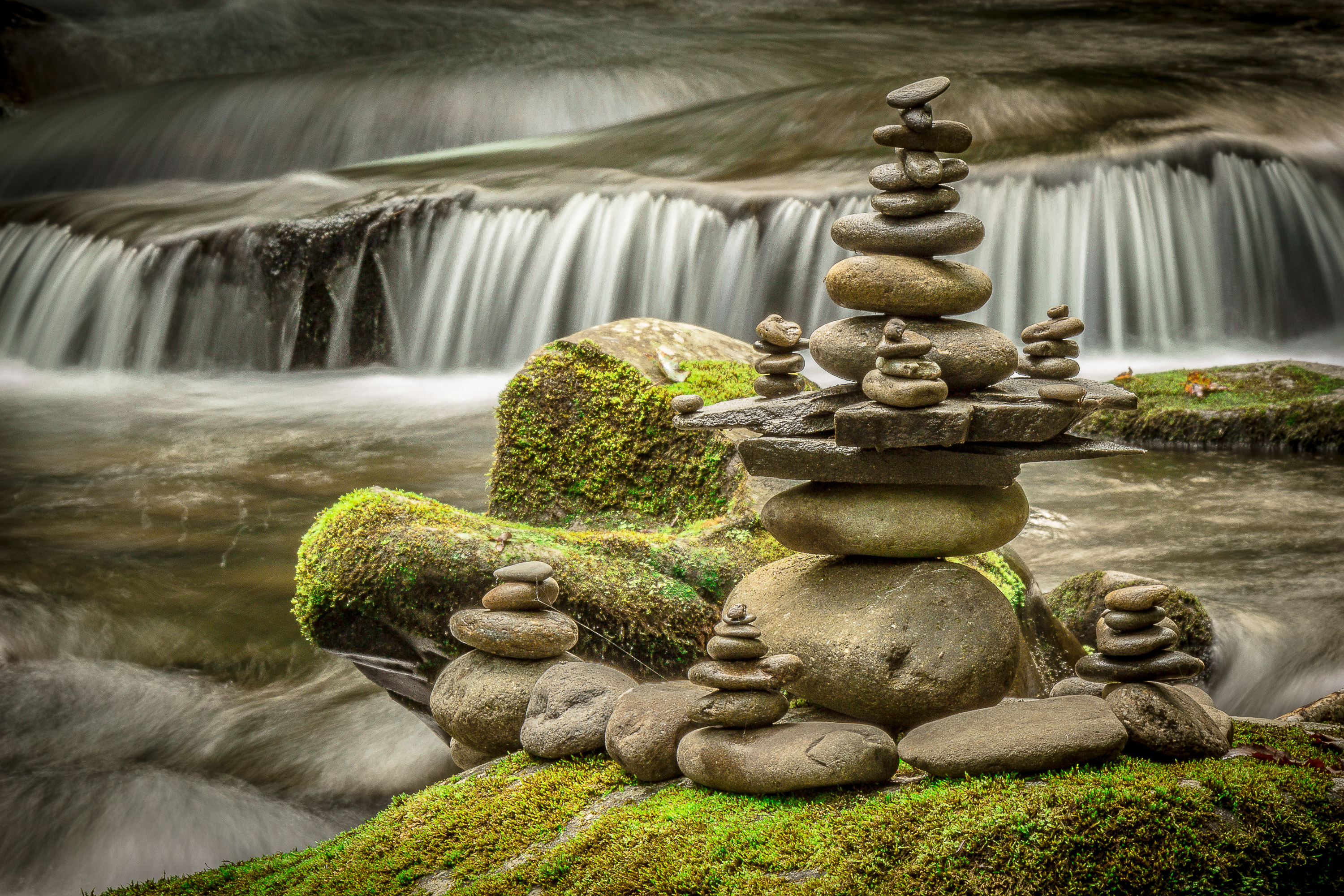 The Great Smoky Mountains!