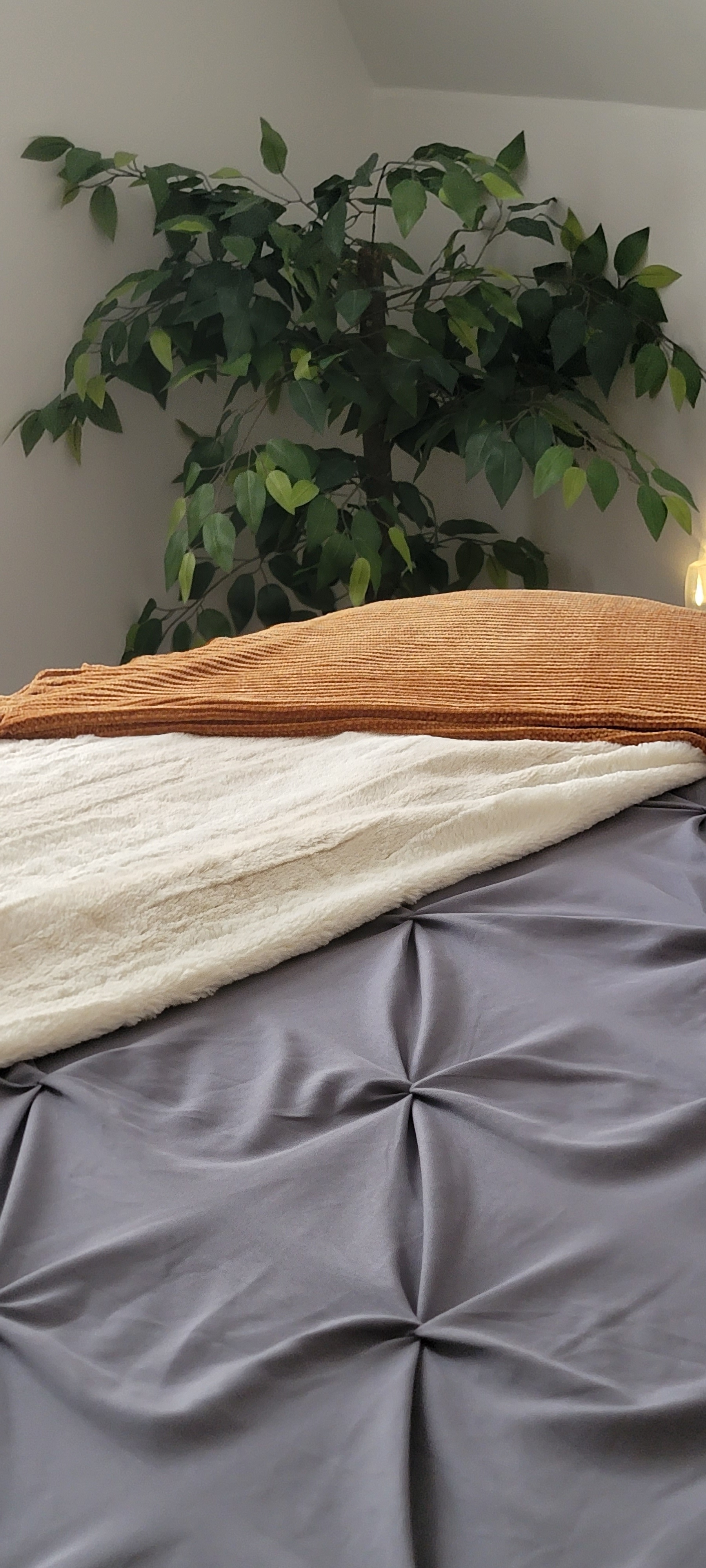 Master Bedroom Queen Bed