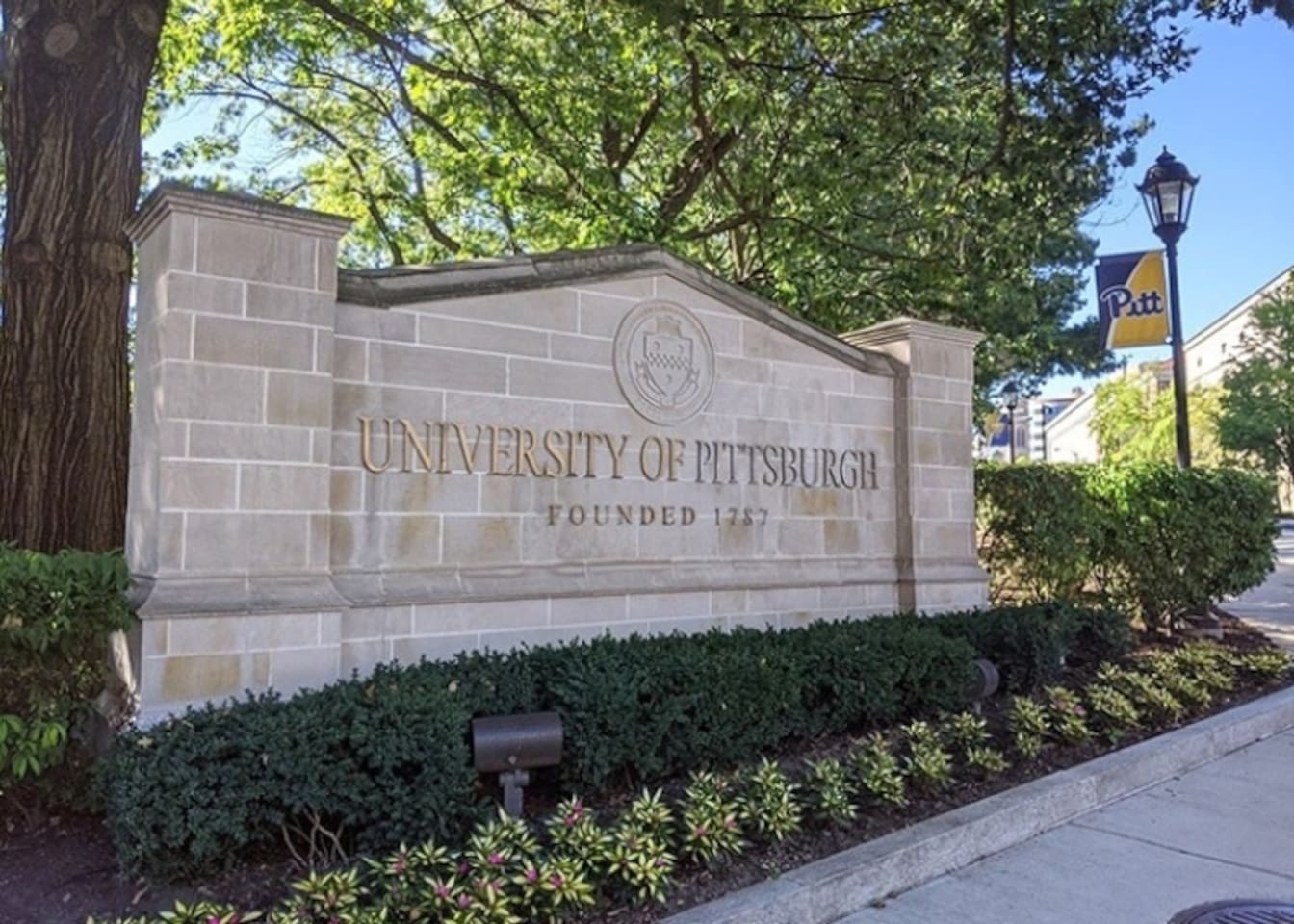 You have a wonderful view of the Cathedral of learning from our Airbnb. 