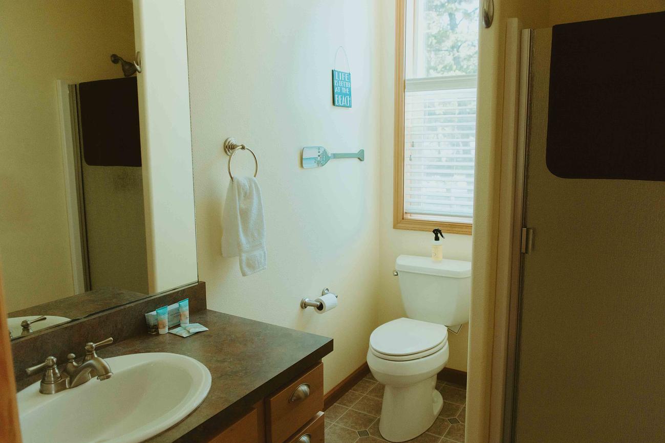 downstairs bath - shower