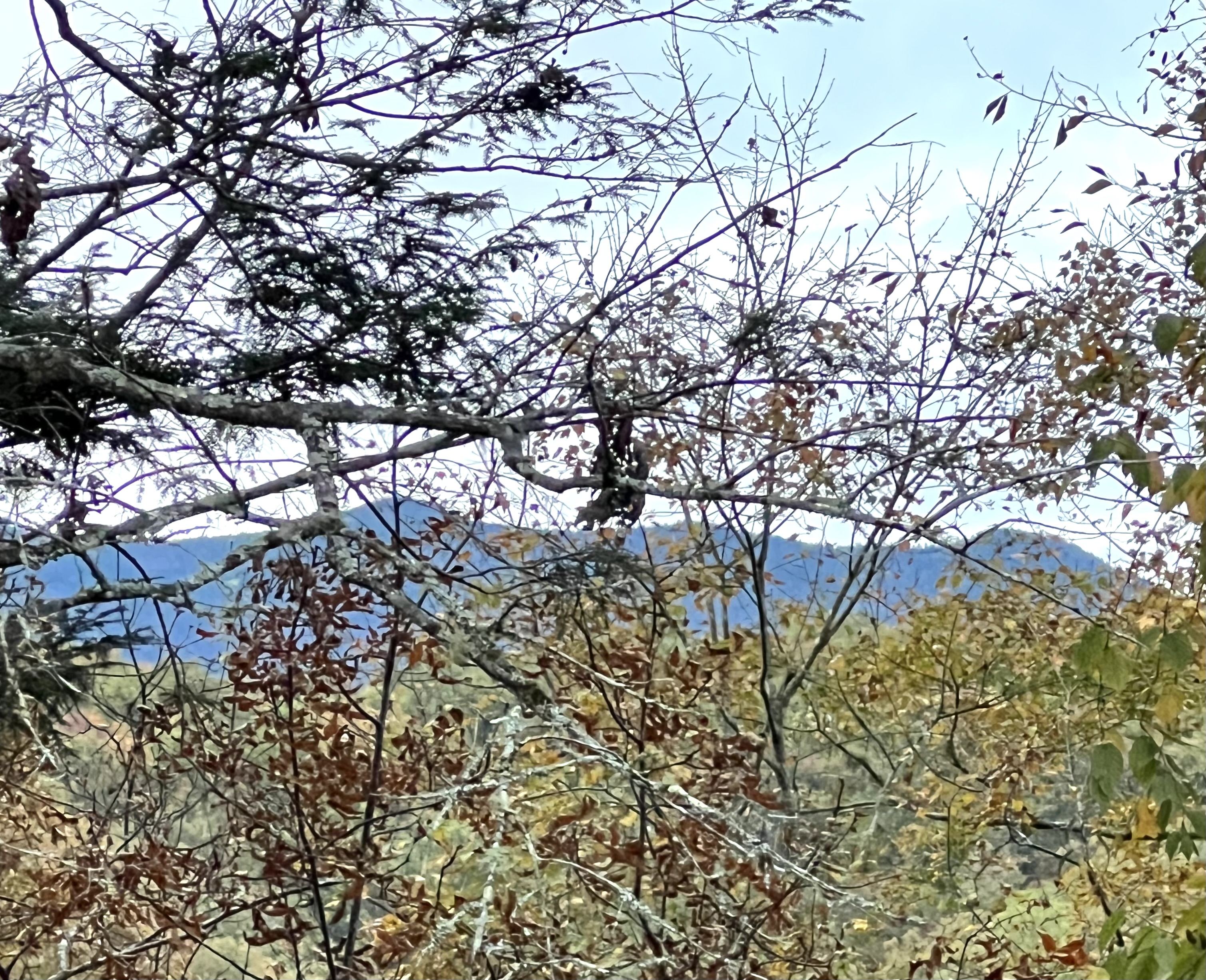 Amazing fall mountain view from the balcony..