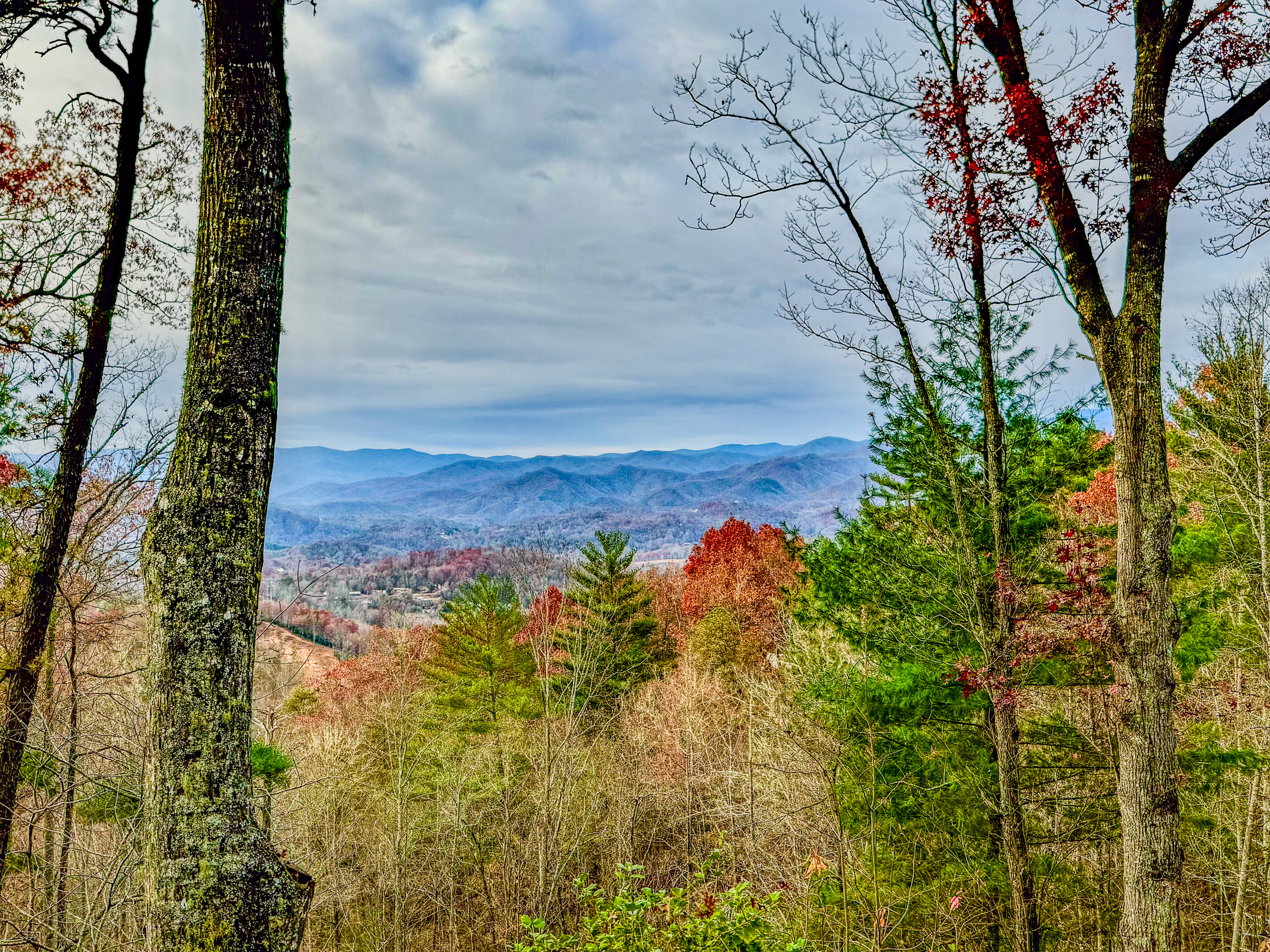 Views, views, views!