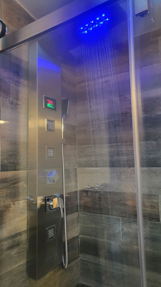 Guest Bath: Waterfall shower with body jets, blue light therapy, and hand held shower wand