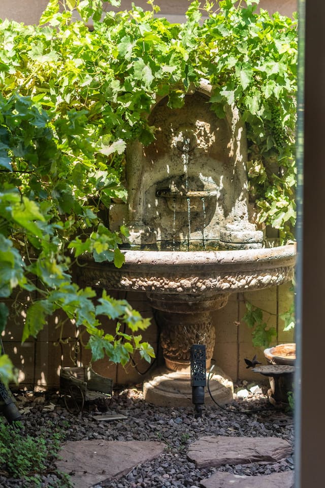 Tucked into a lush green corner of the property, a stone fountain trickles beneath a canopy of grapevines — a hidden gem that adds a touch of old-world charm to the outdoor space.