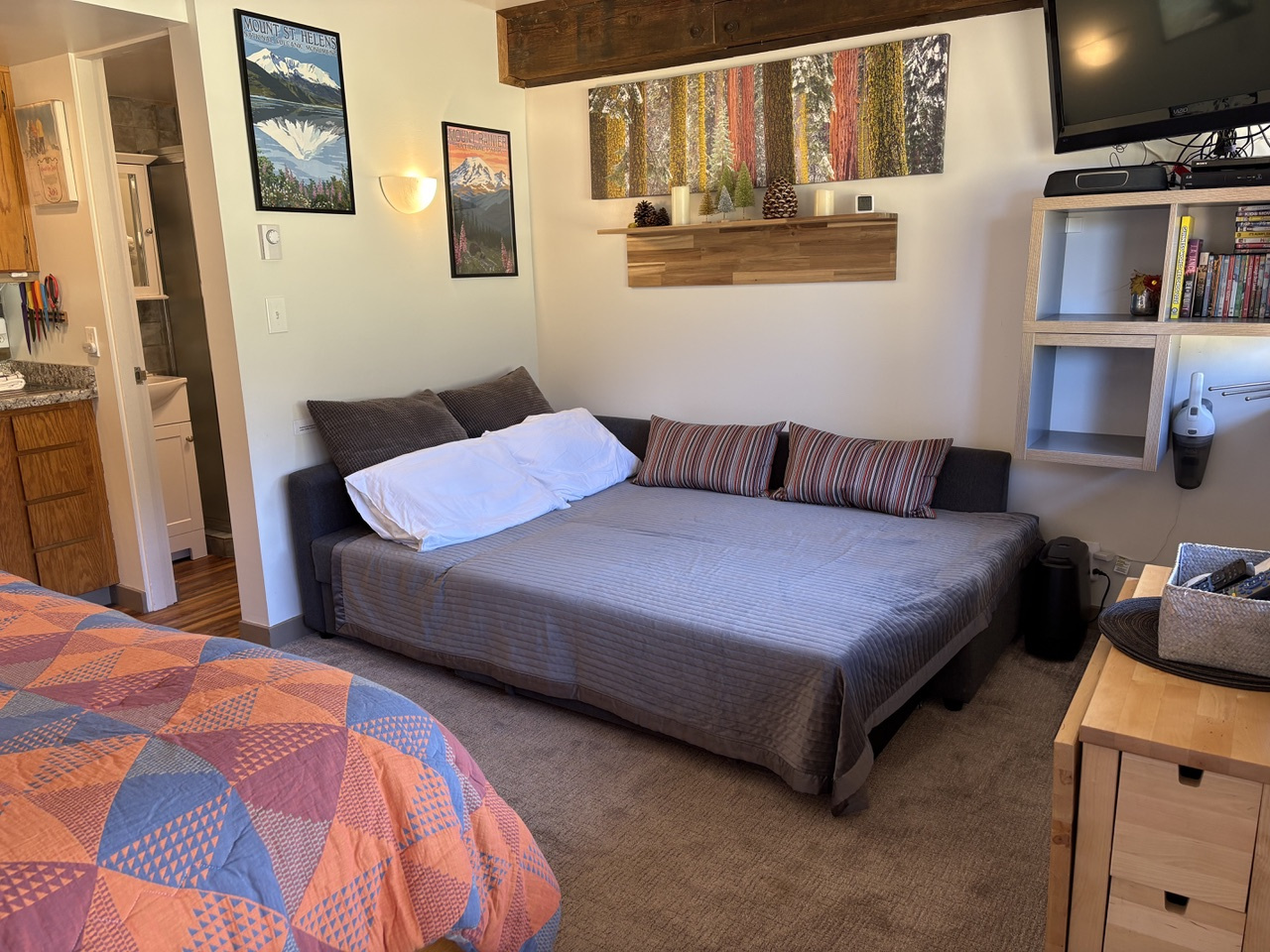Full size sofa bed
