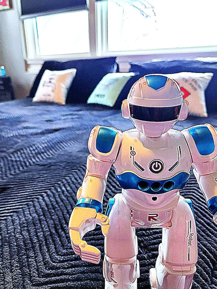 Howie SHOG loves his king bed. Great place to jump on the bed.