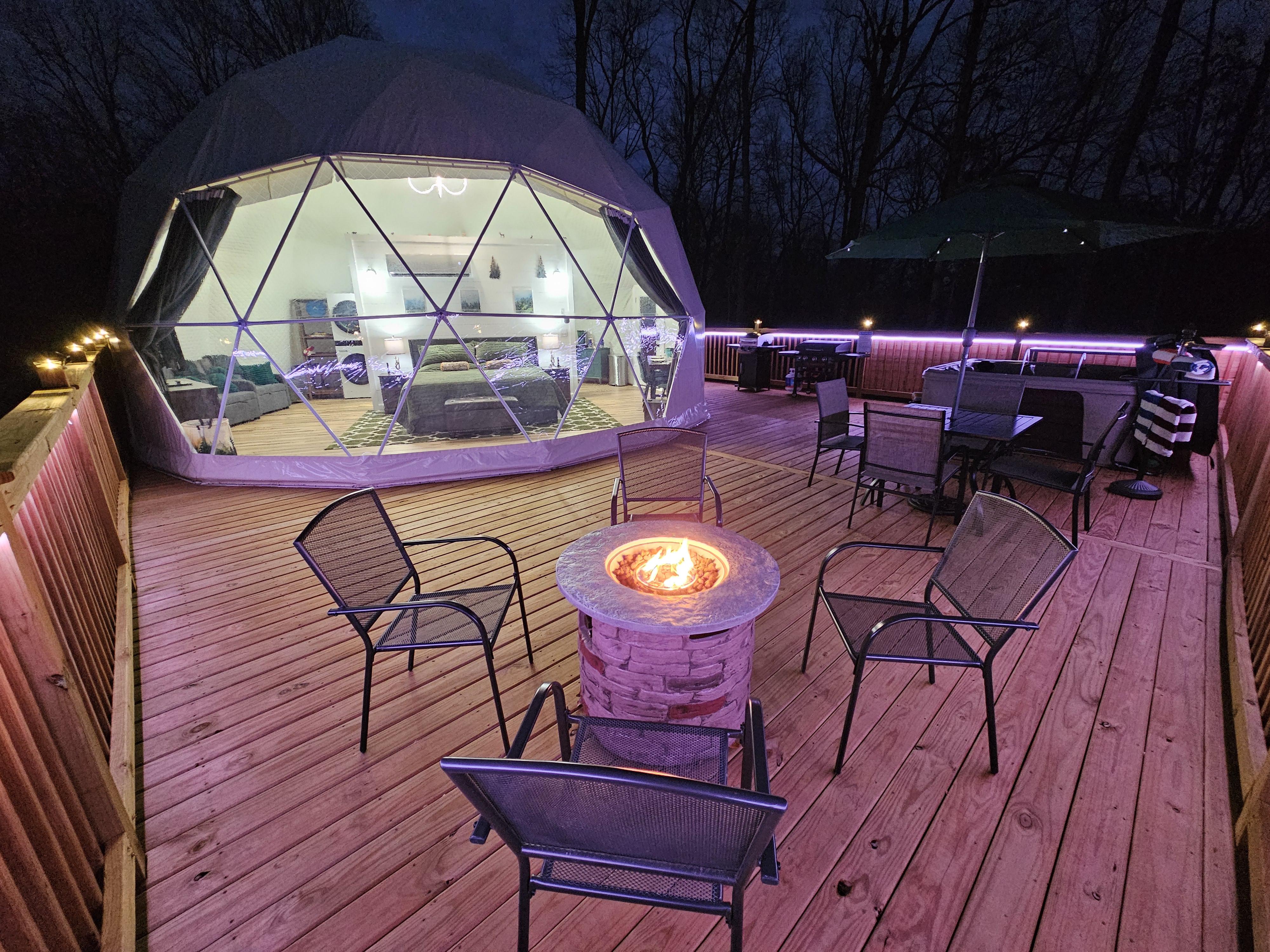 Forest Dome