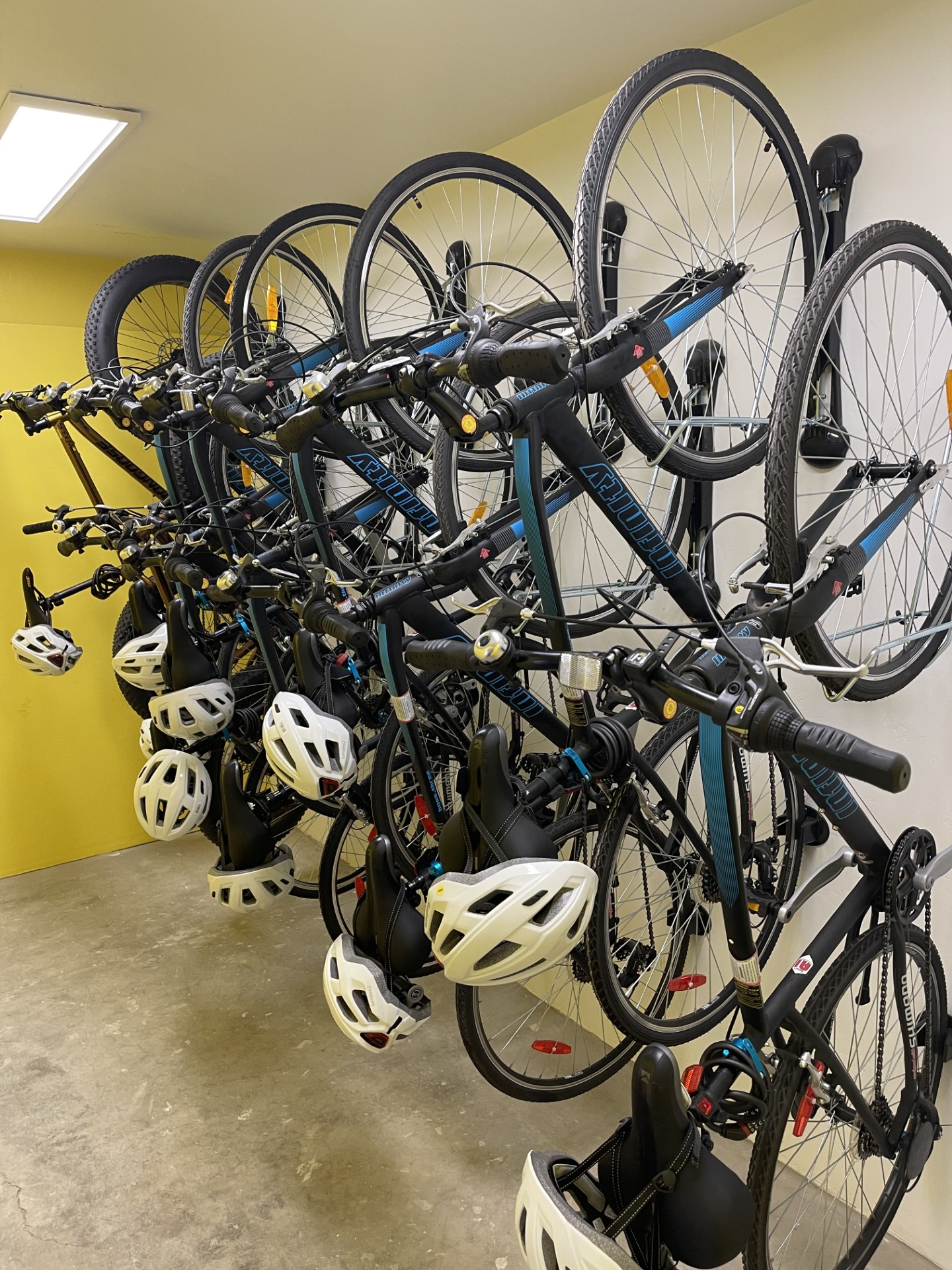 Complimentary bikes for exploring the coast 🚲🌊

11 bikes (all sizes), helmets included, plus a mapped ride to Dana Point Harbor with protected bike lanes, ocean views, and great spots for lunch or cocktails.