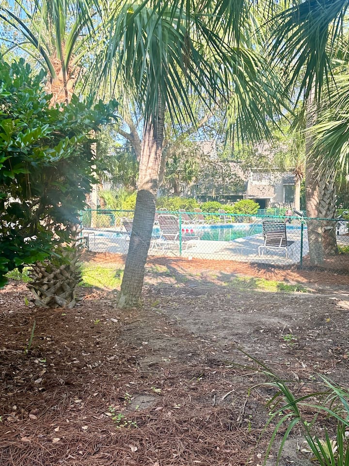 Pool area through the trees
