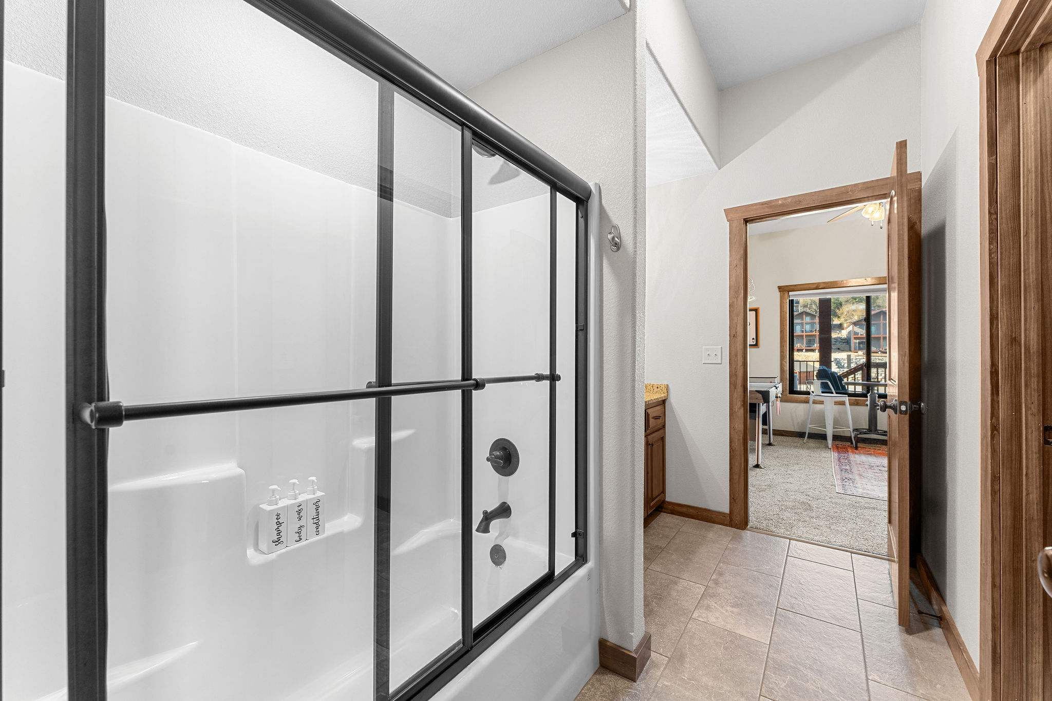 Lower level jack and Jill bathroom 