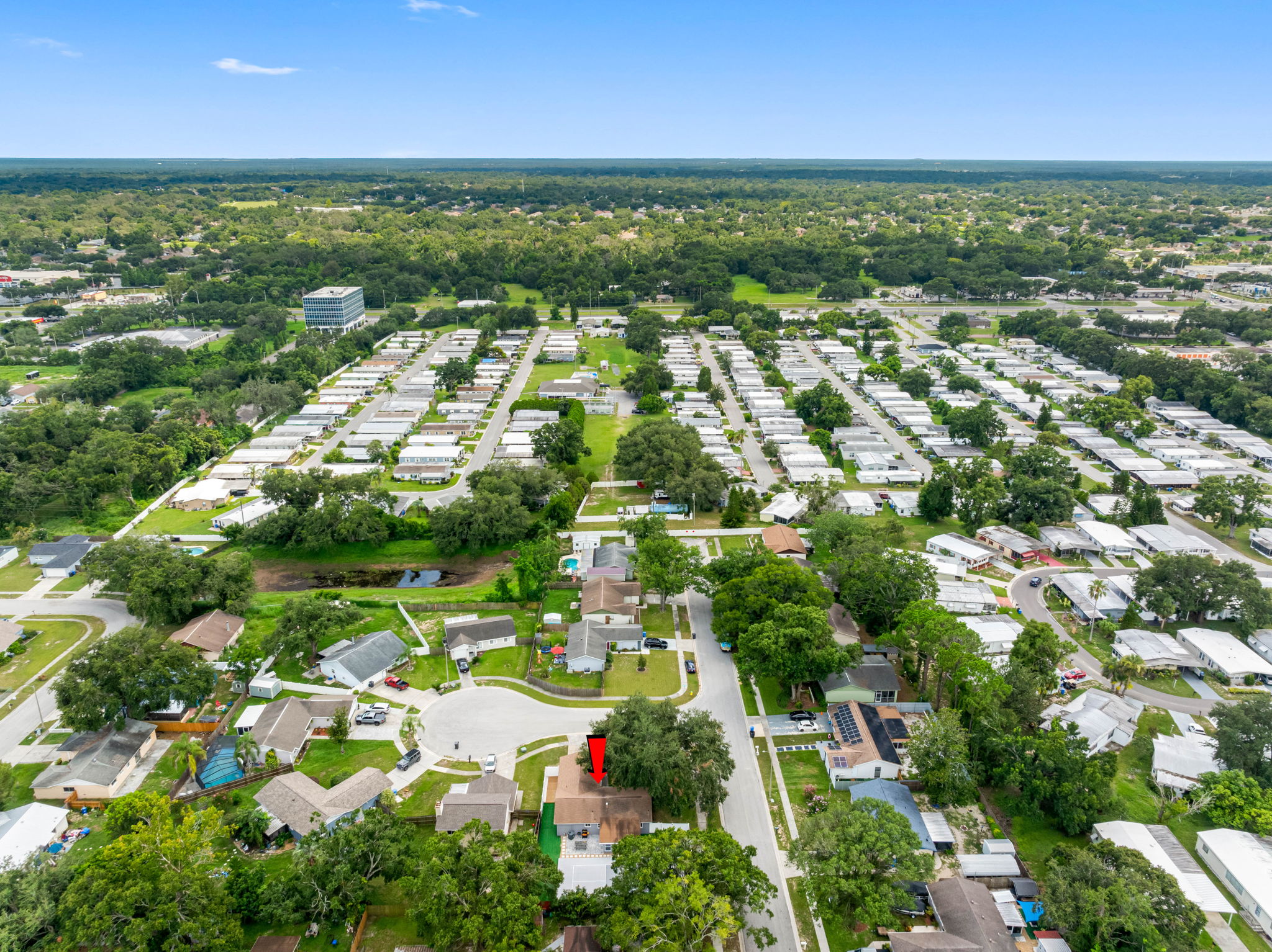 Aerial View of the Neighborhood