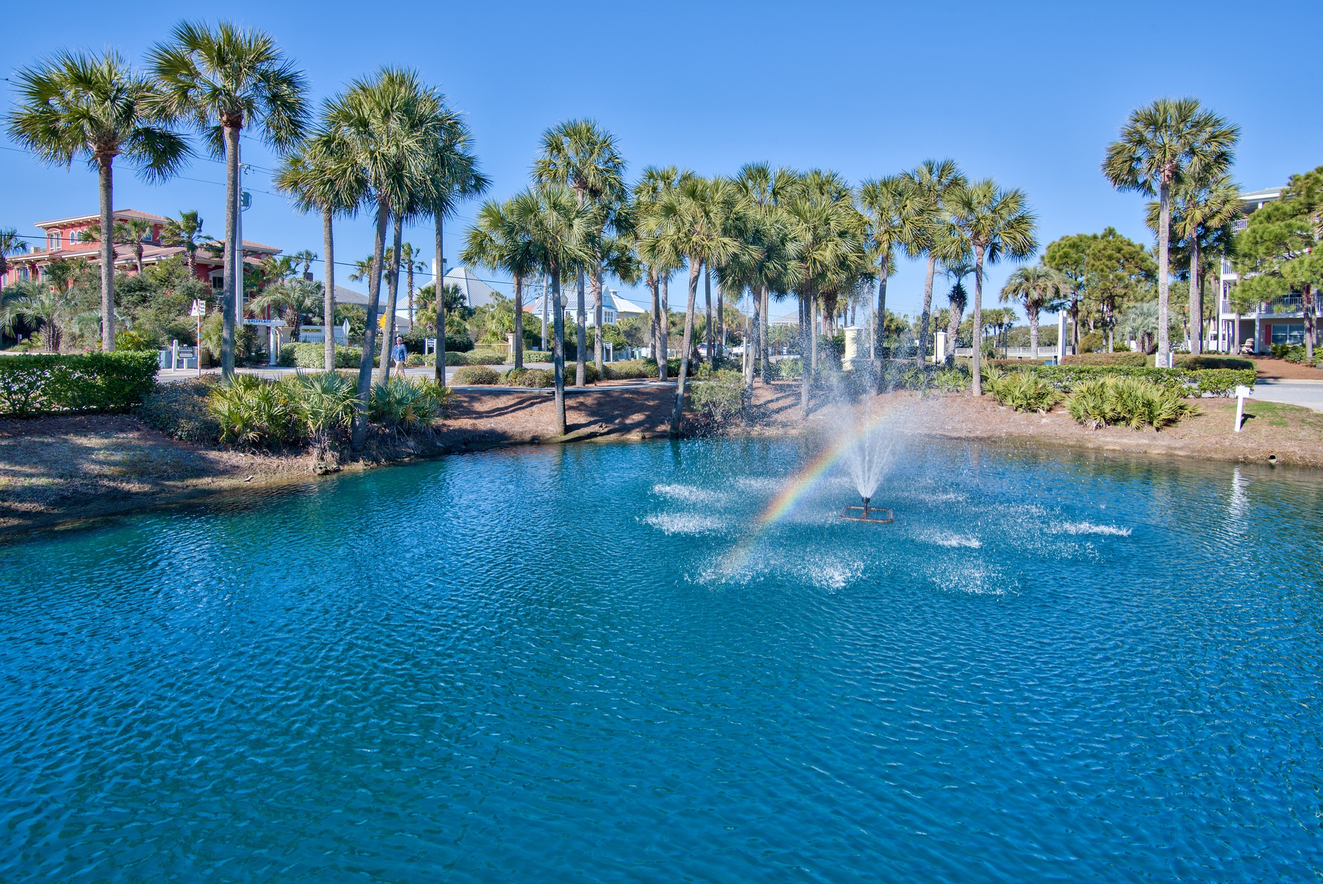 Ponds