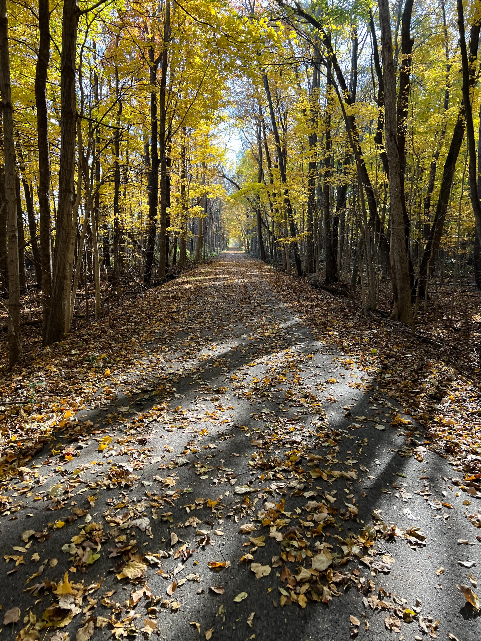 Fishing Line Rail Trail in the Fall - it runs for 12 miles and passes just behind Hilltop Haven