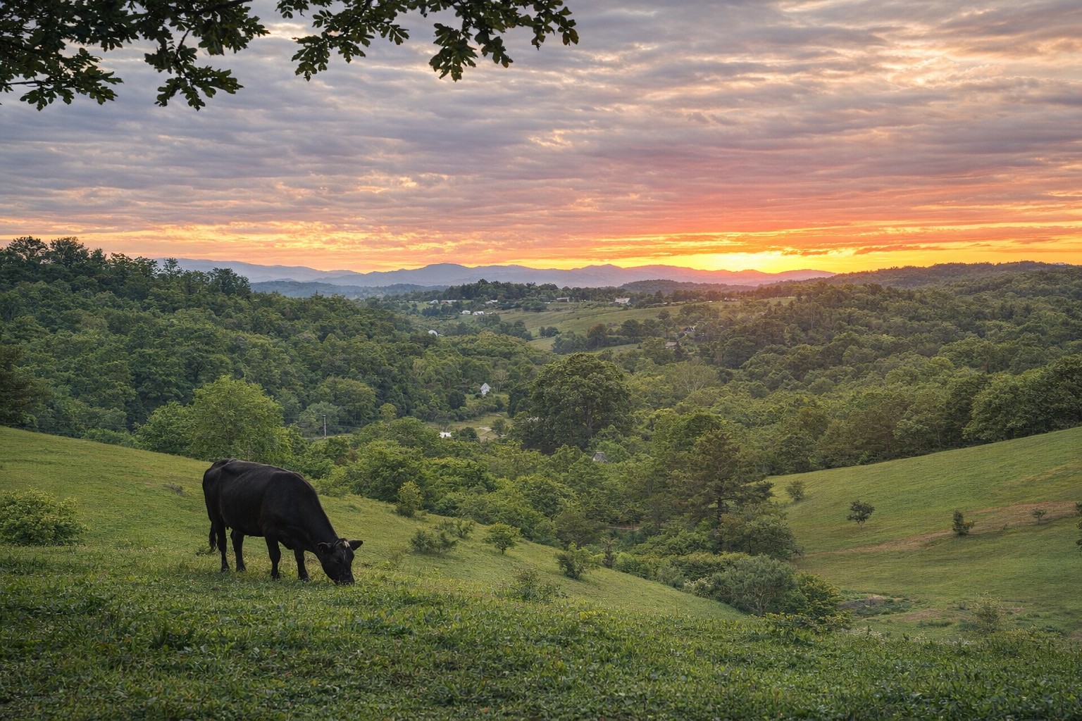 Imagine saying I do as the hills glow and the sky turns gold ✨
Private farmland. Blue Ridge views.
Summit House — now booking select pre-launch stays.