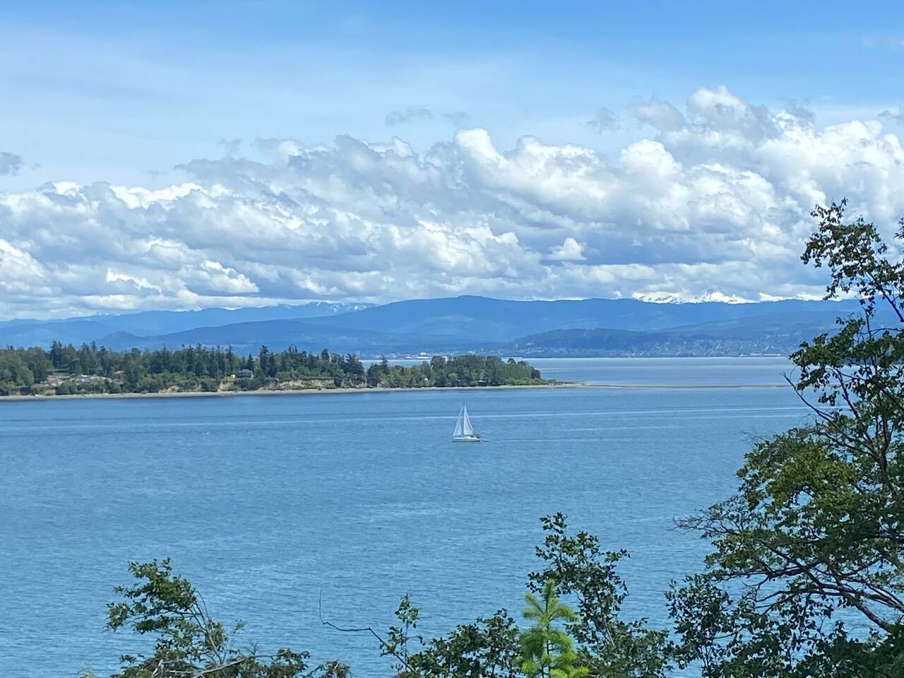 View 5