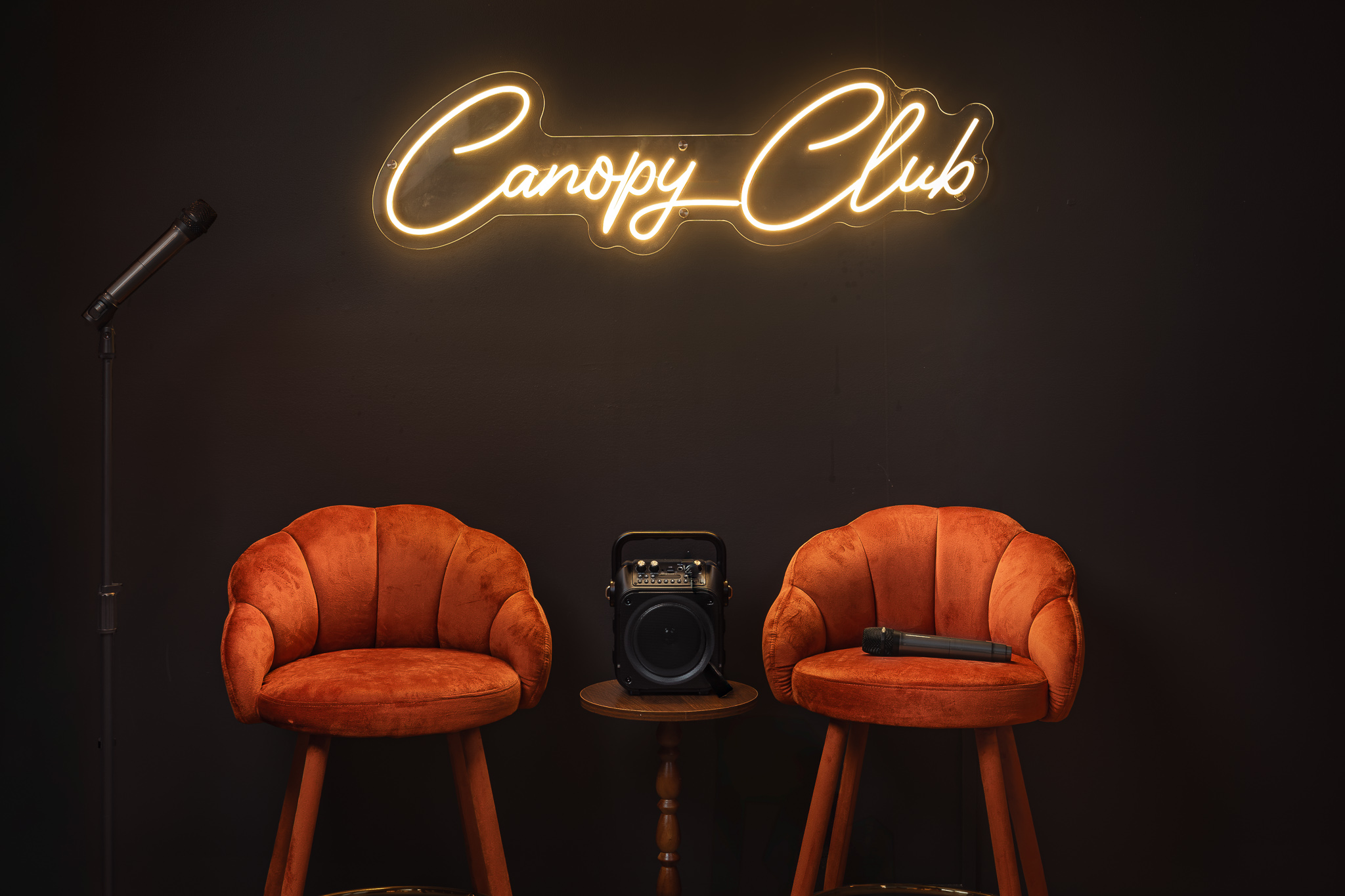 {Karaoke Lounge} Grab the mic and take the stage beneath the Canopy Club neon sign for your own private karaoke night.