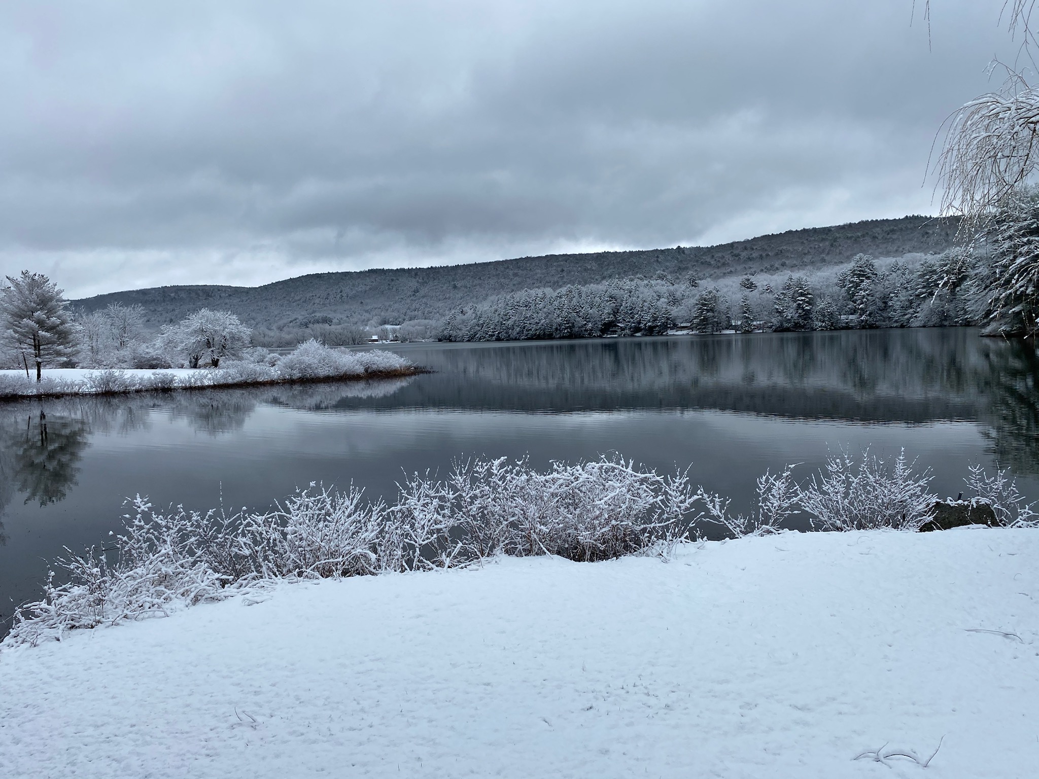 Here's a peak of the view in winter