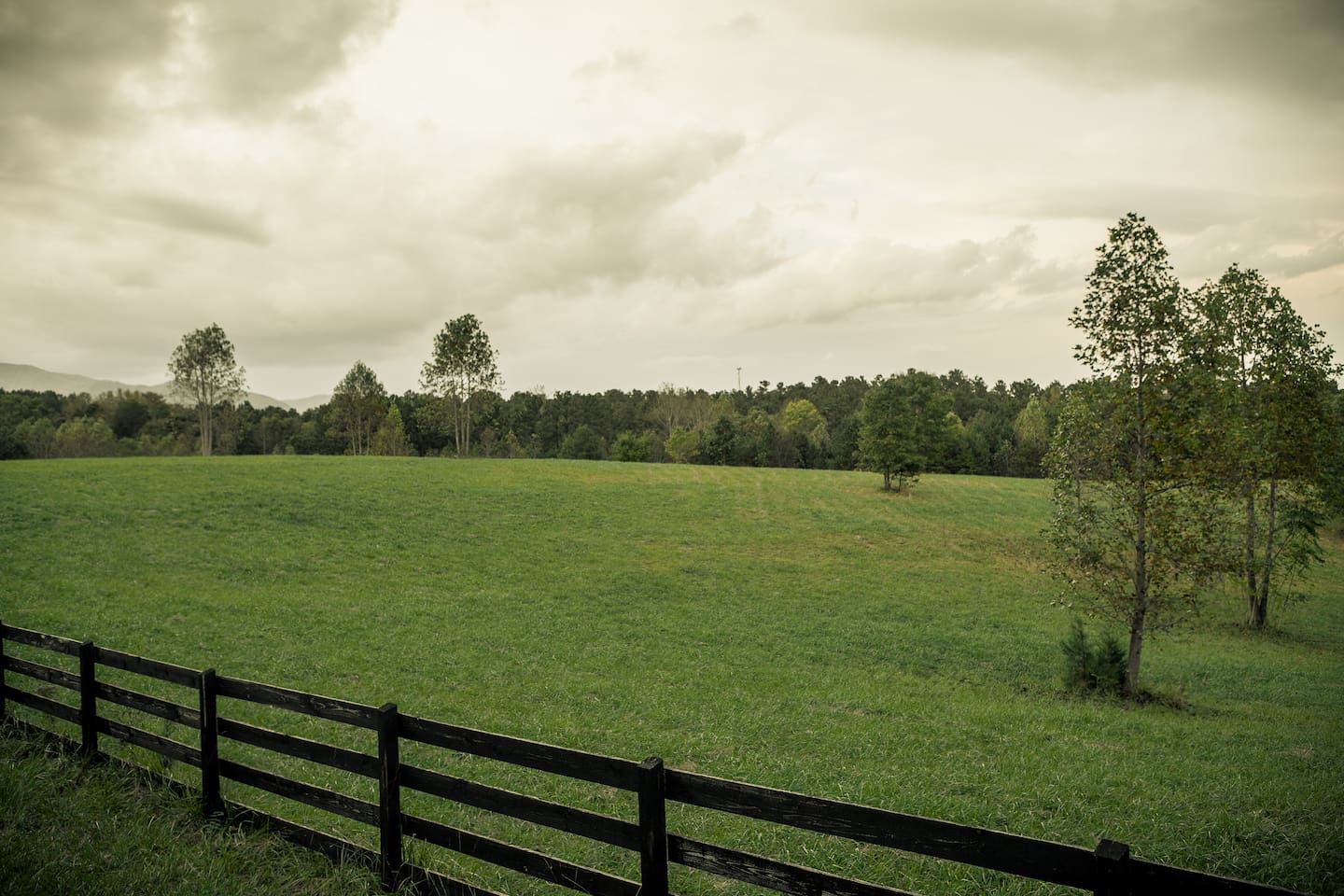 Scenic horse property in nearby Mill Spring