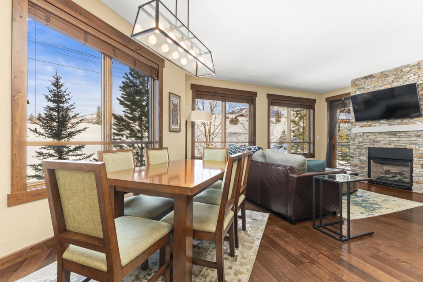 Full living/Dining View