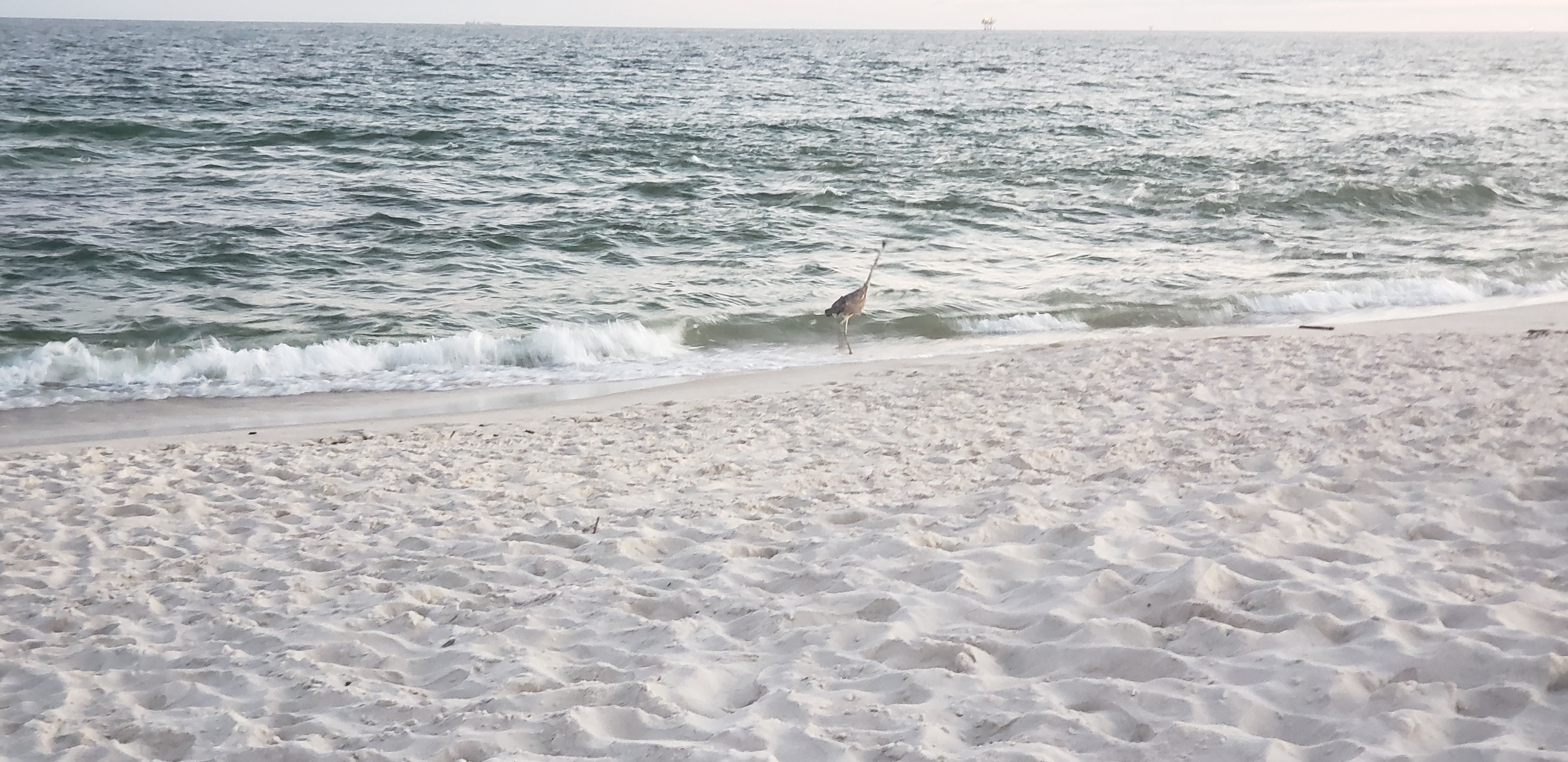 Public Beach Access – 2-minute walk