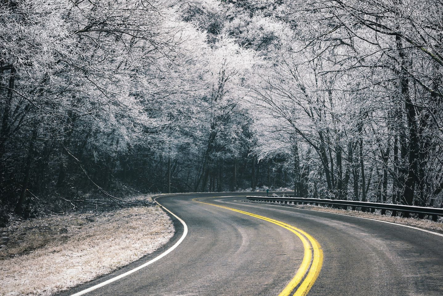 The winding roads throughout the Smoky Mountains make for wonderful, slow scenic excursions.