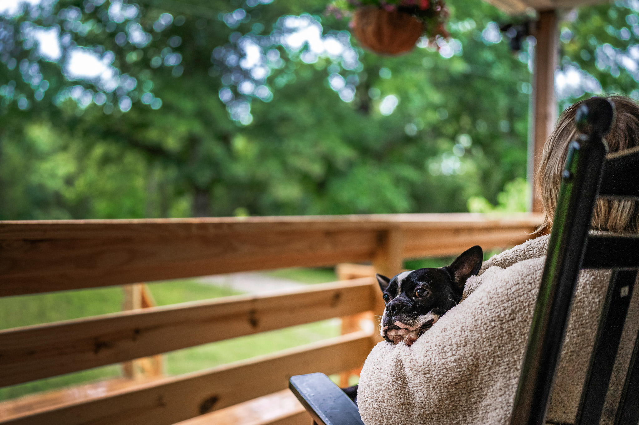 “Snuggles with a view.” Cozy porch moments are even better with your pup. 🐾🪑💕